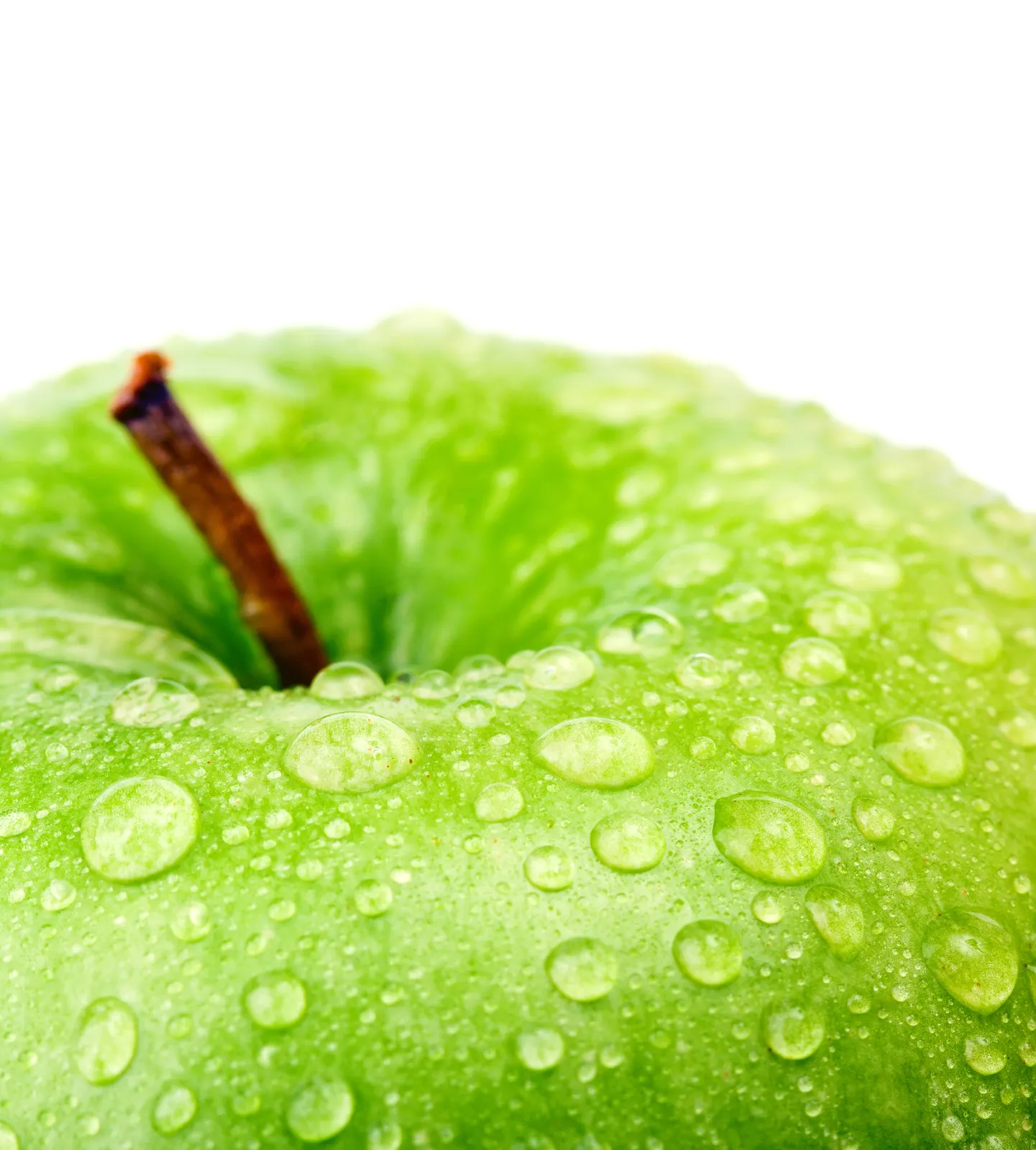 Square Animal Caterpillar Foliage Food and Drink Free Stock Photo