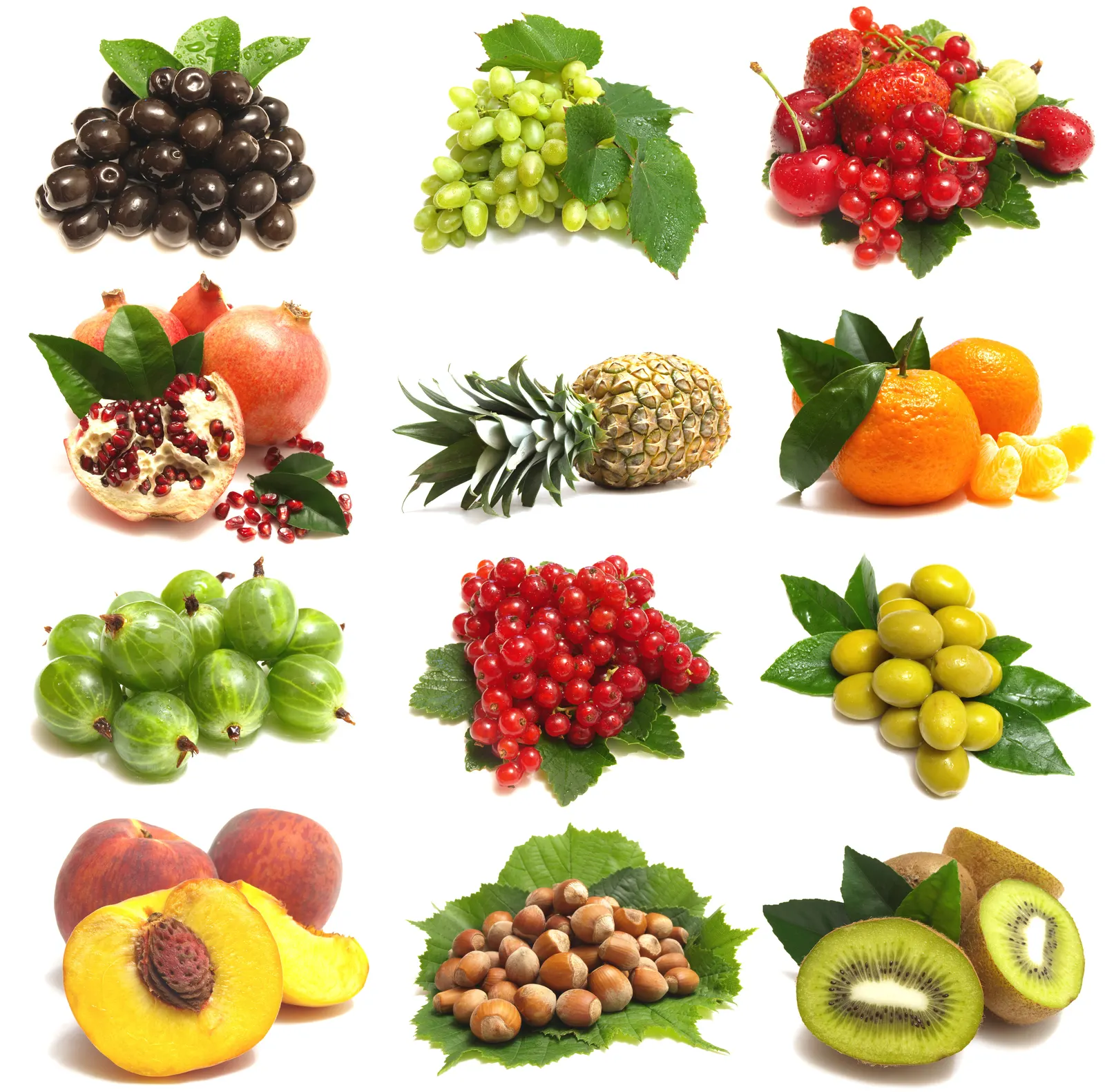 Square Citrus Fruit Pomegranate Oranges Food and Drink Free Stock Photo