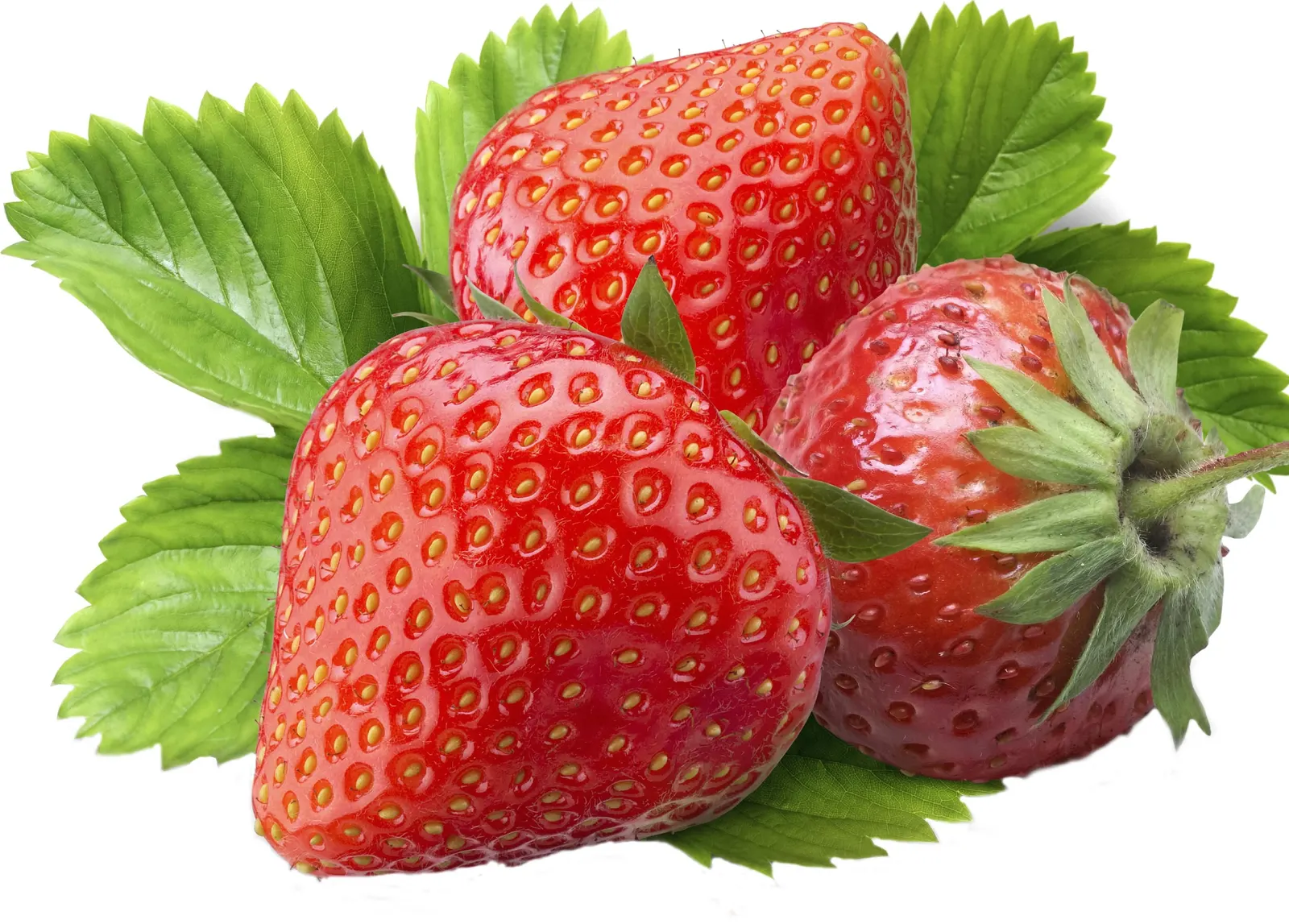Horizontal Berry Strawberry Foliage Food and Drink Free Stock Photo 5