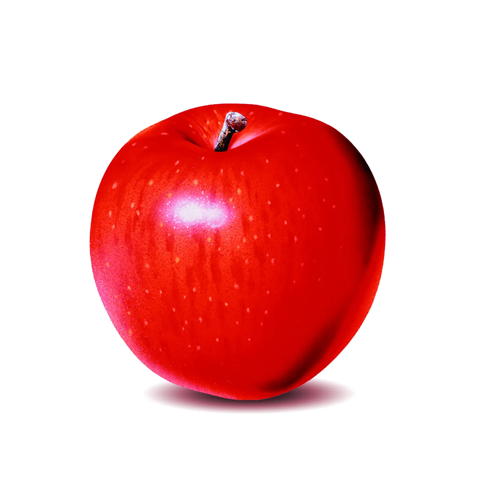Square Apple Vegetable Tomato Food and Drink Free Stock Photo