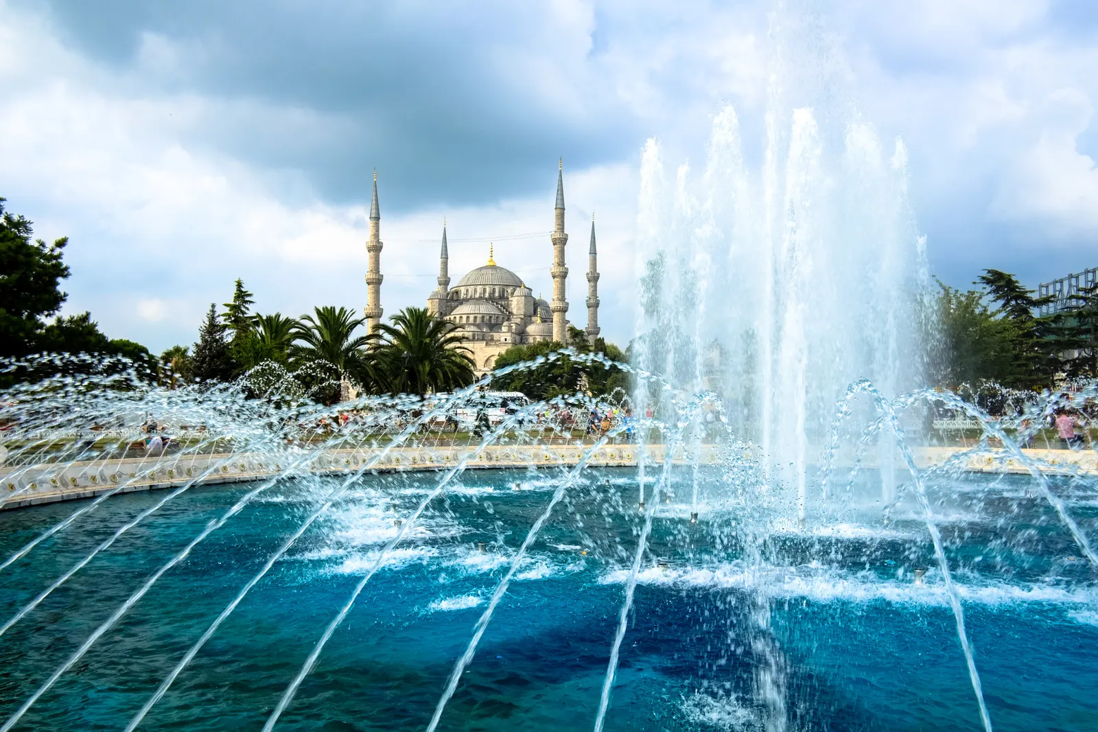 Horizontal Palm Tree Fountain Botanical Free Stock Photo