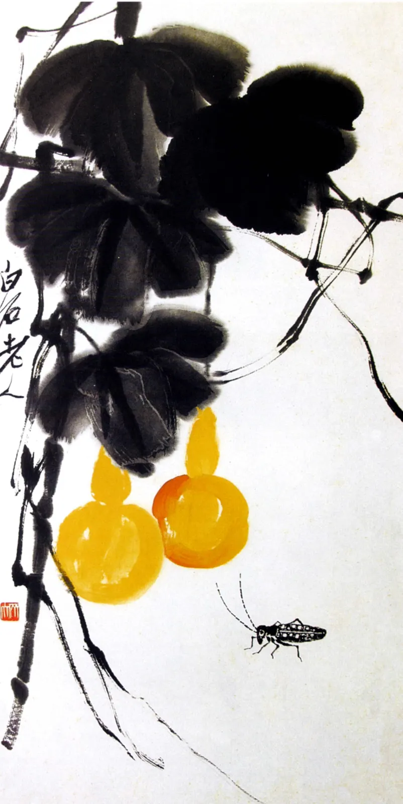 Citrus Fruit Branch Illustrations Food and Drink