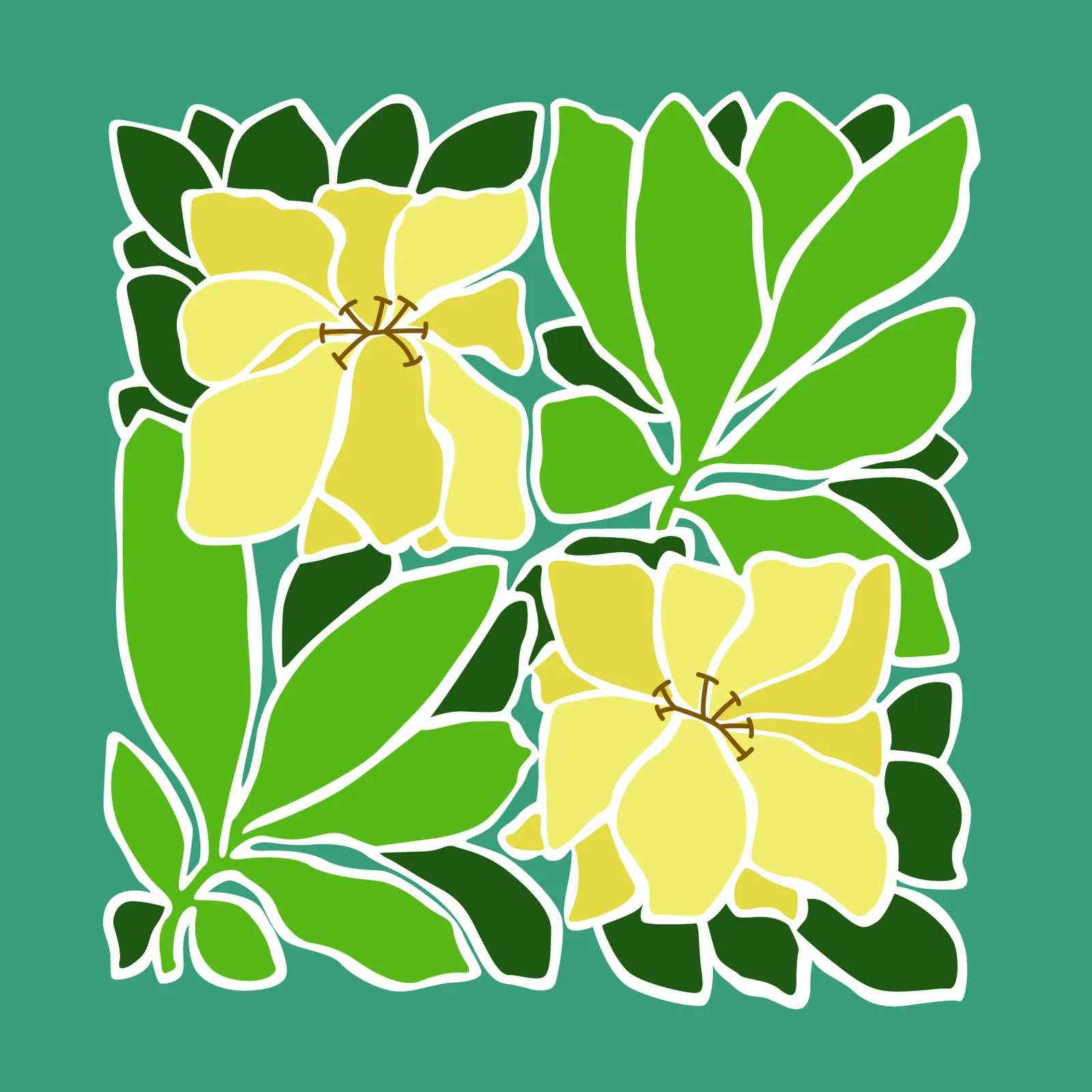Illustrations Flower Lily Botanical