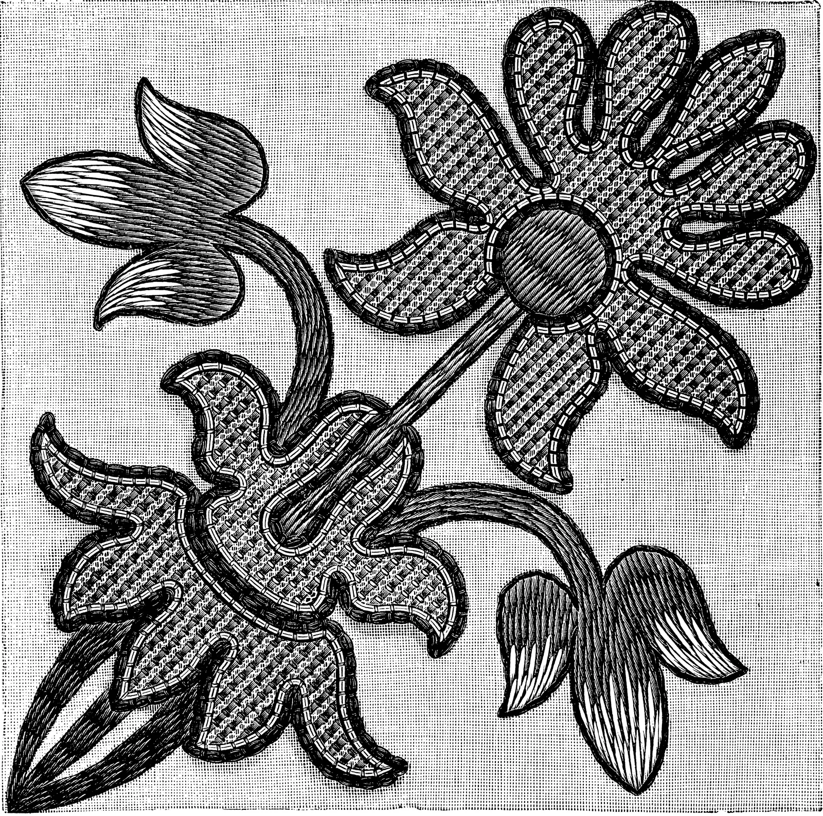 Illustrations Botanical
