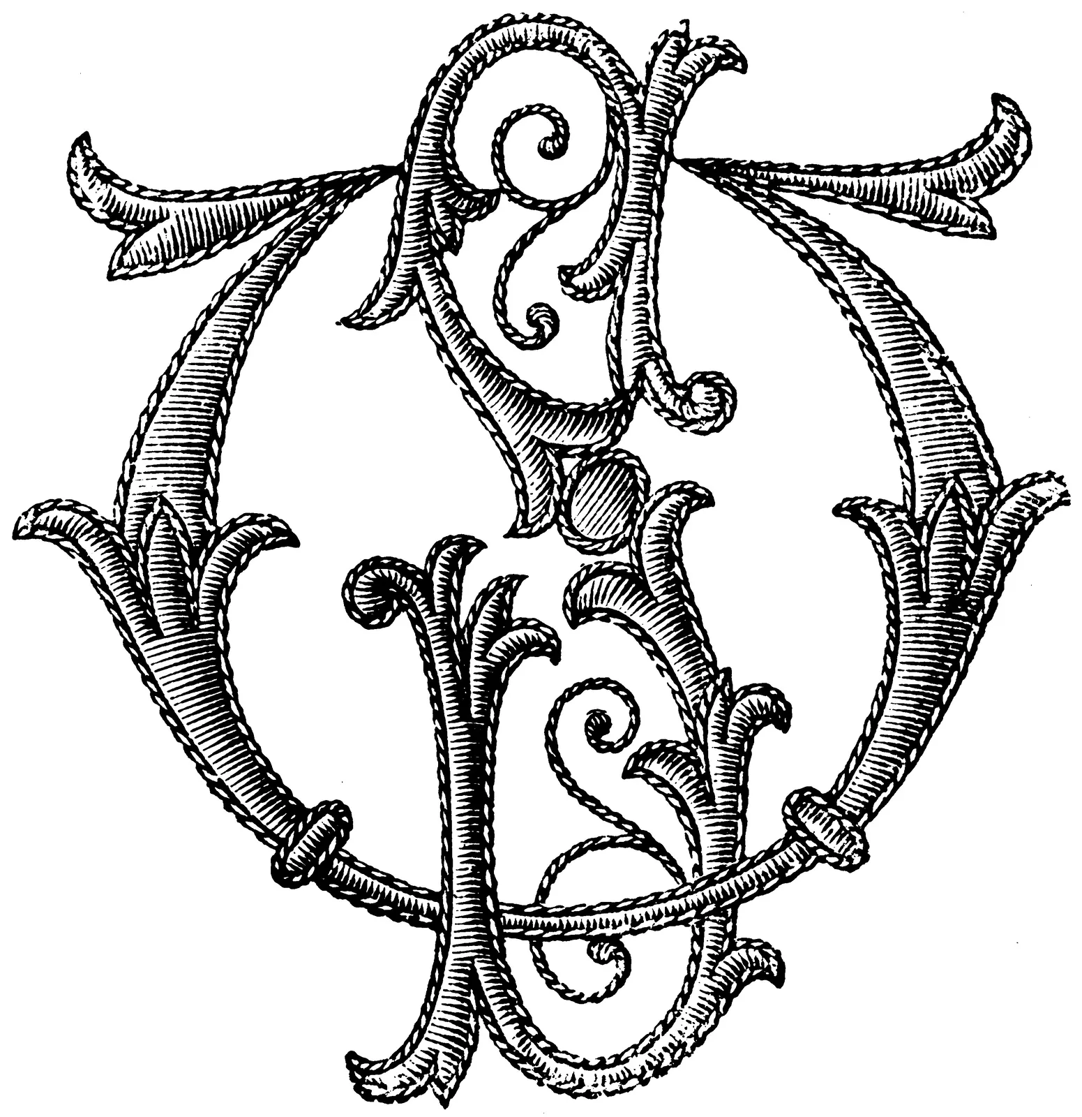 Illustrations Animal
