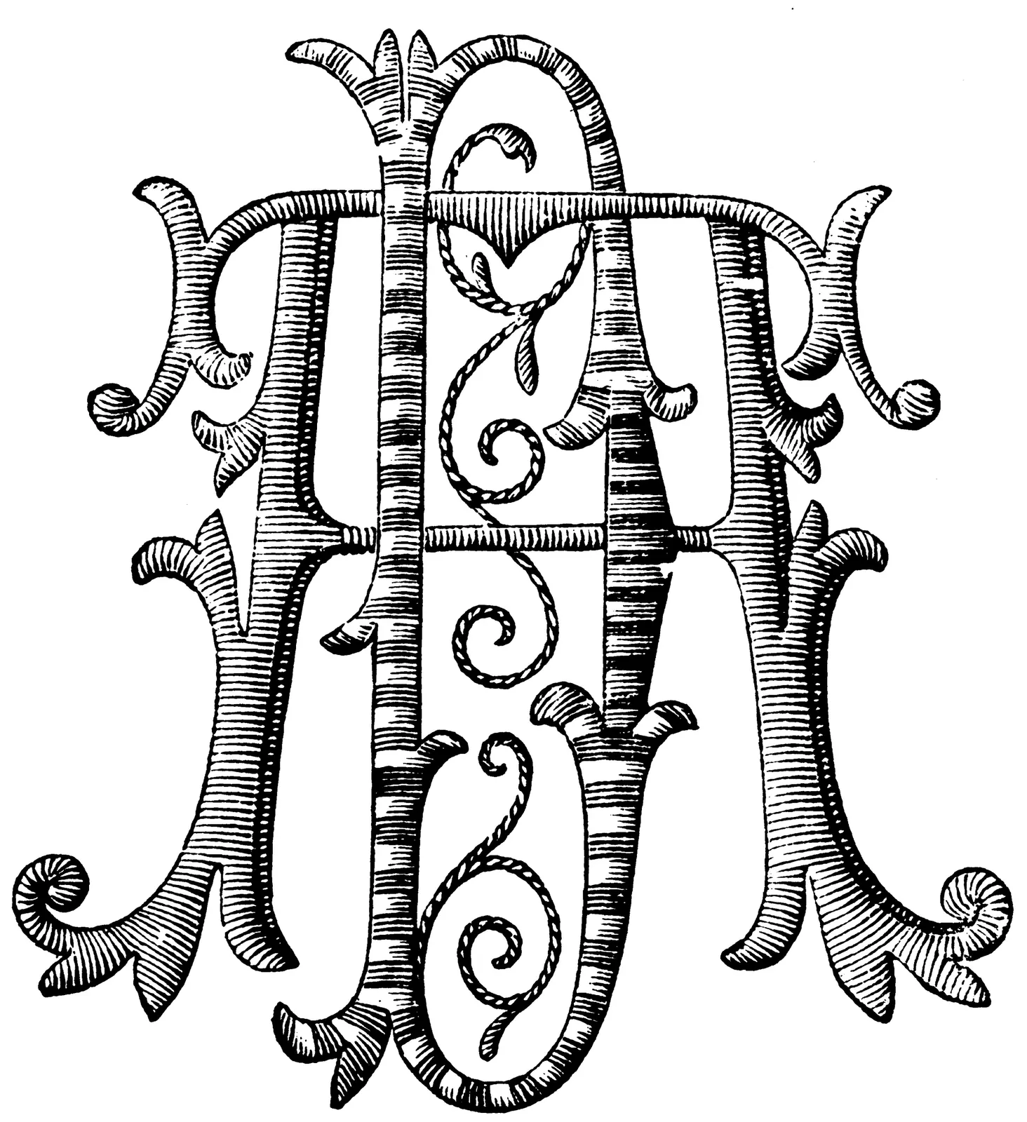 Illustrations Animal