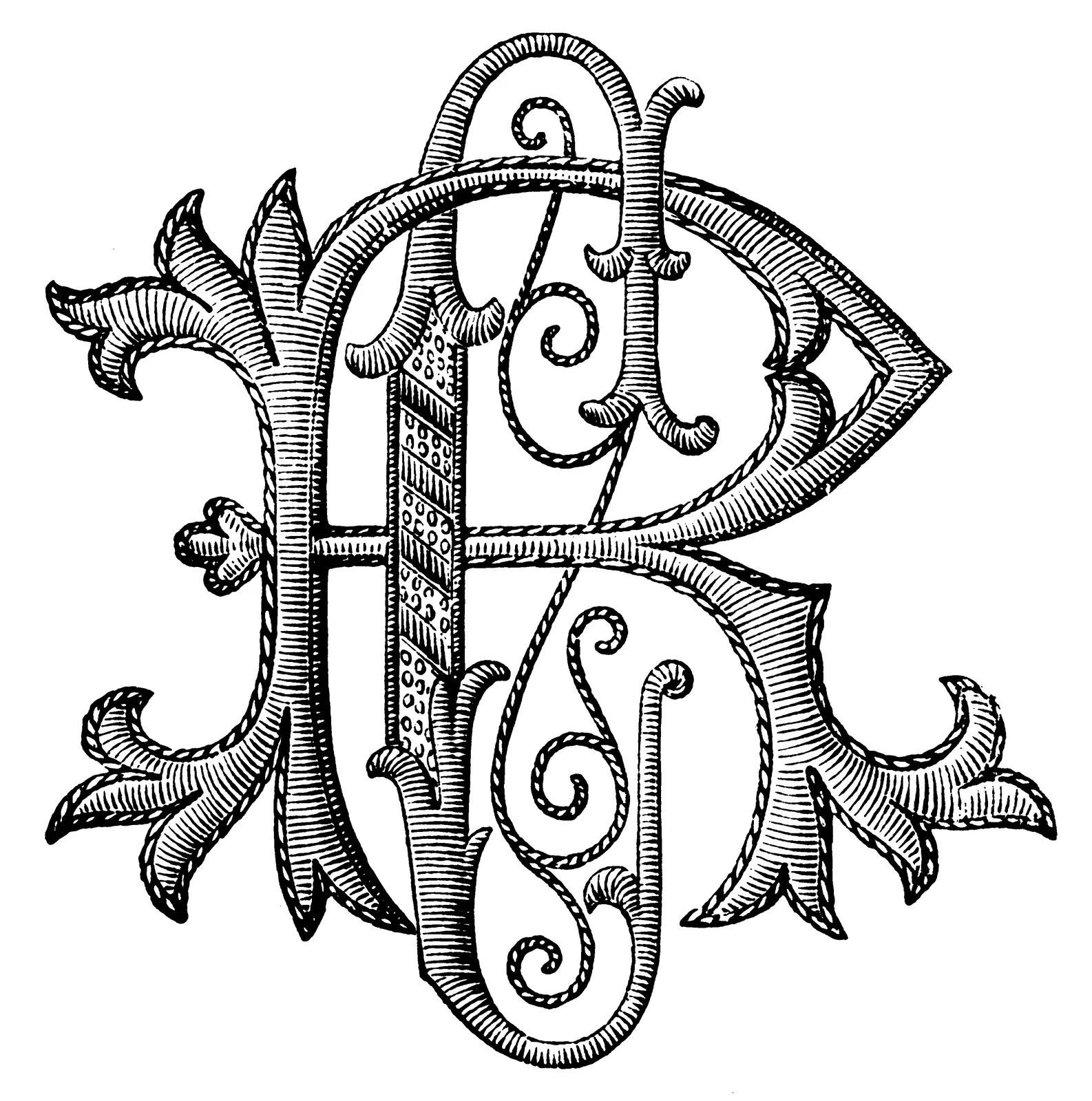 Illustrations Animal