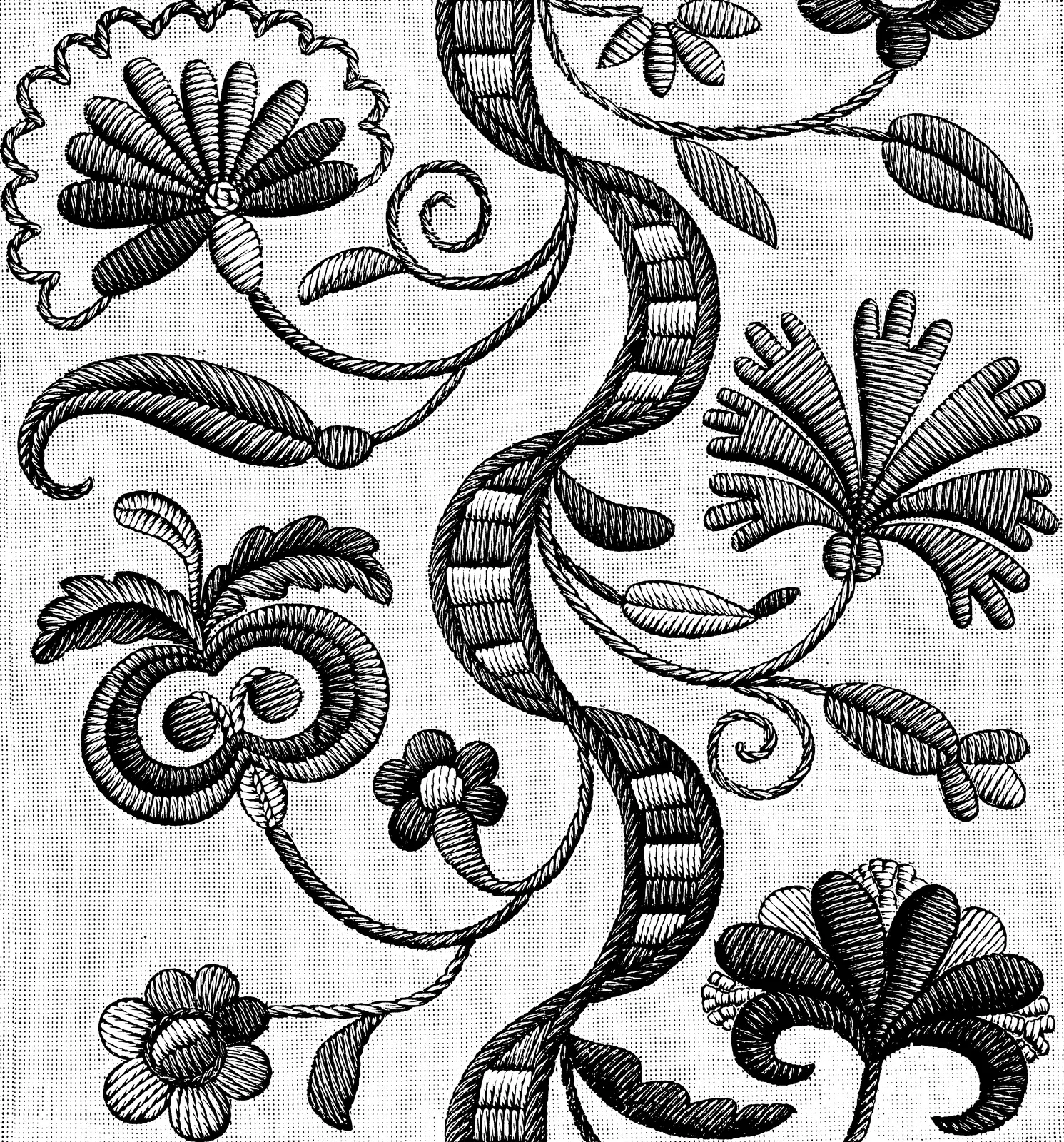 Illustrations Animal