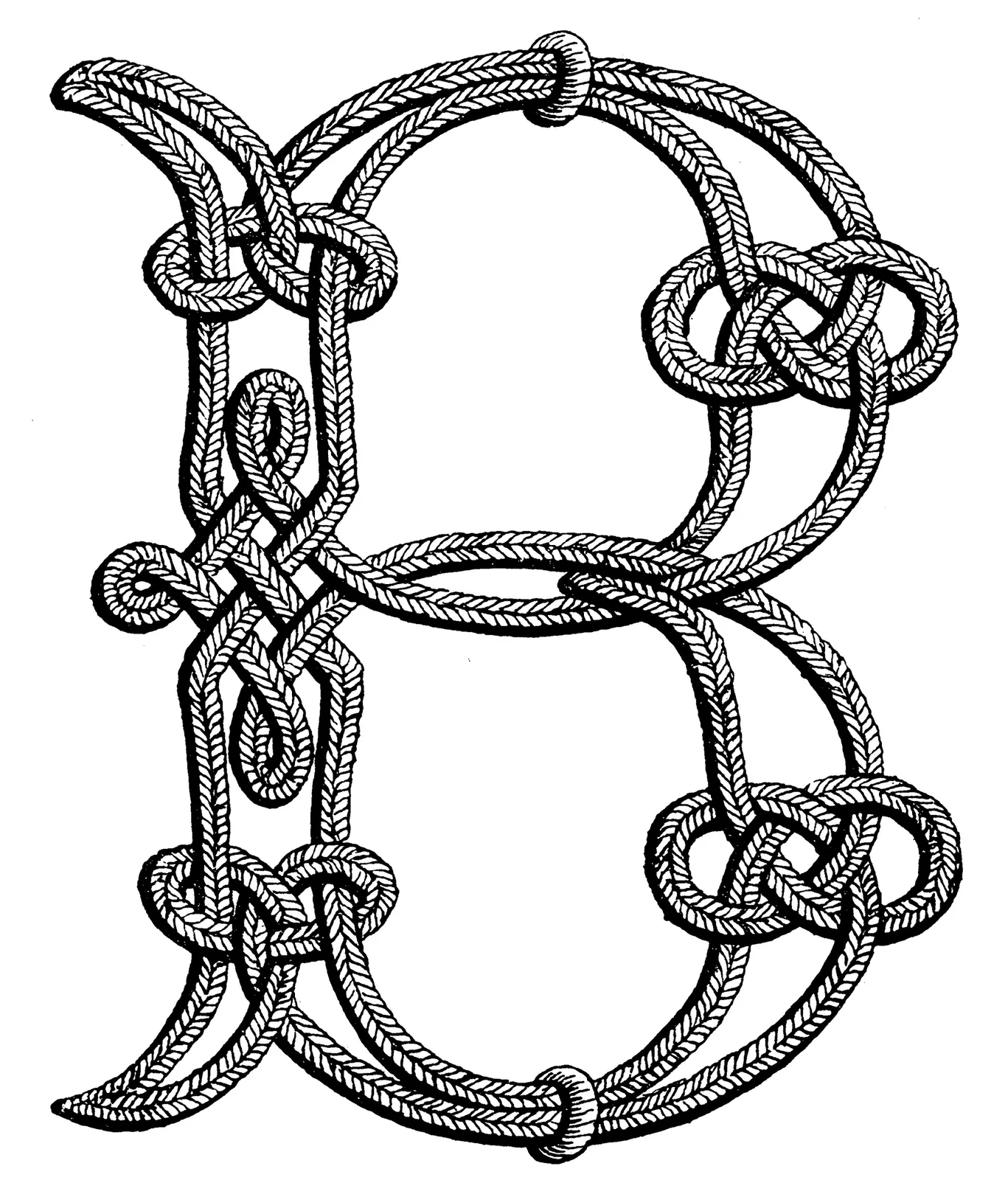 Illustrations Cord Animal