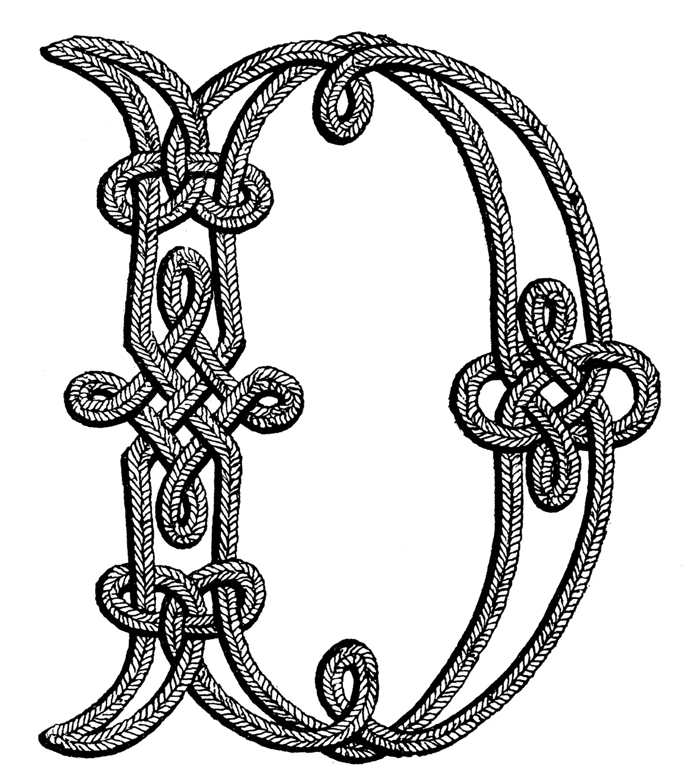 Illustrations Cord Animal