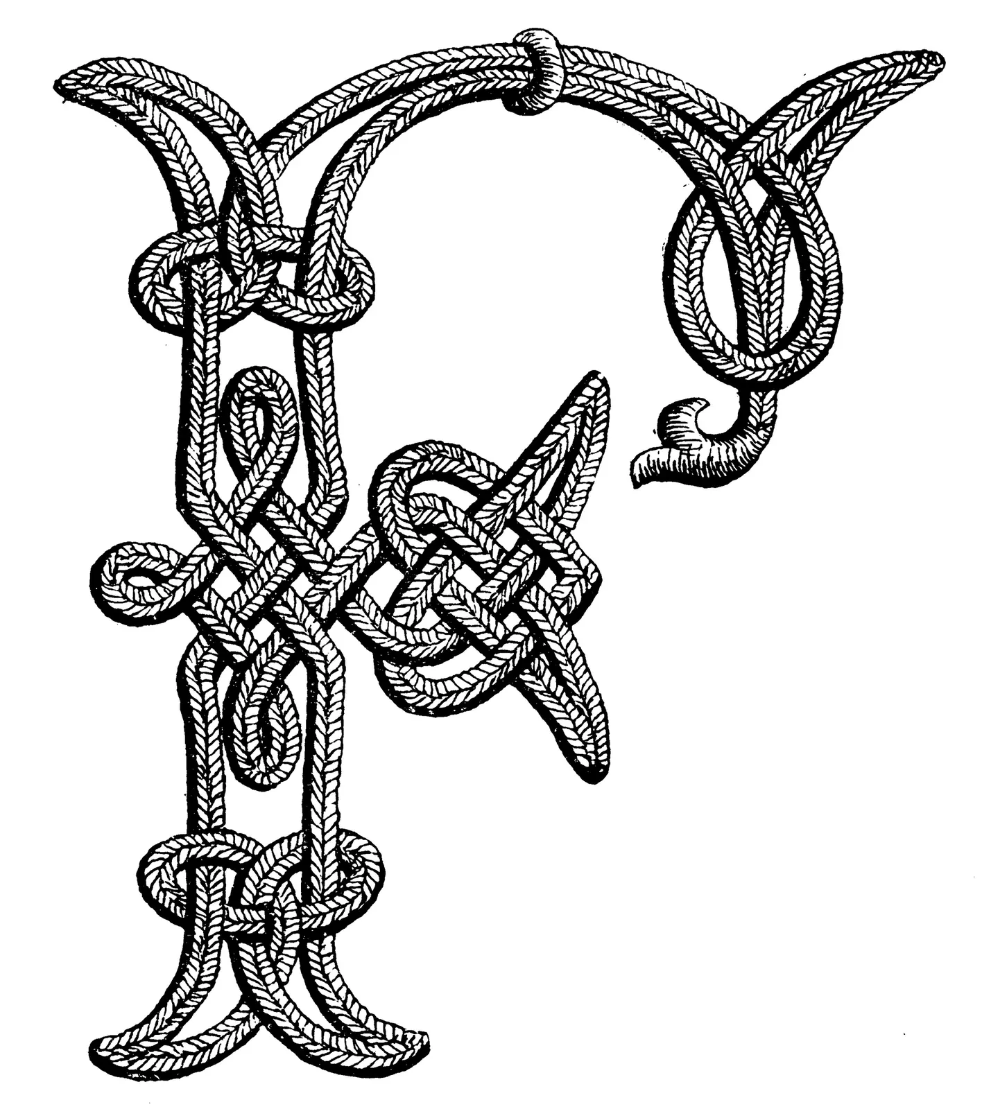 Illustrations Cord Animal