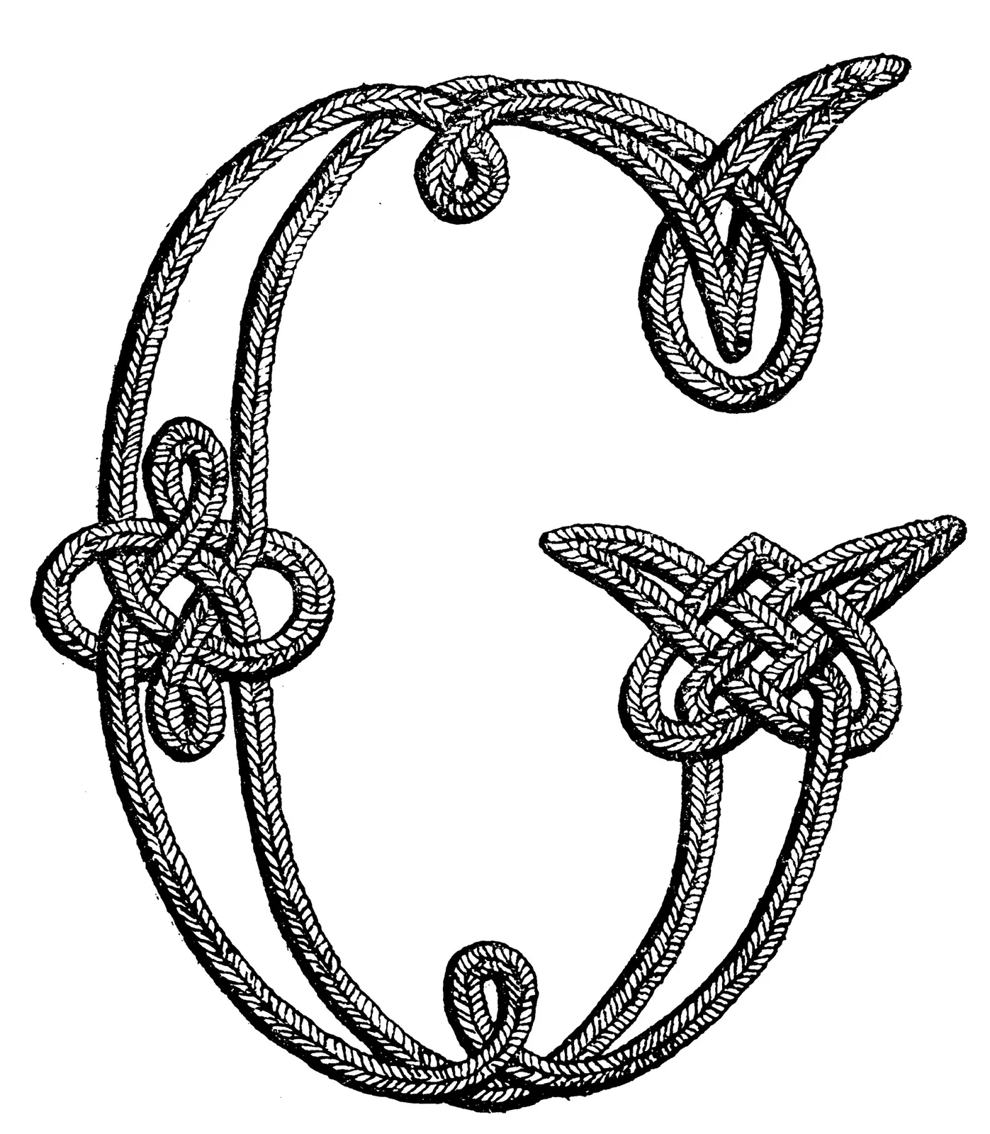Illustrations Animal