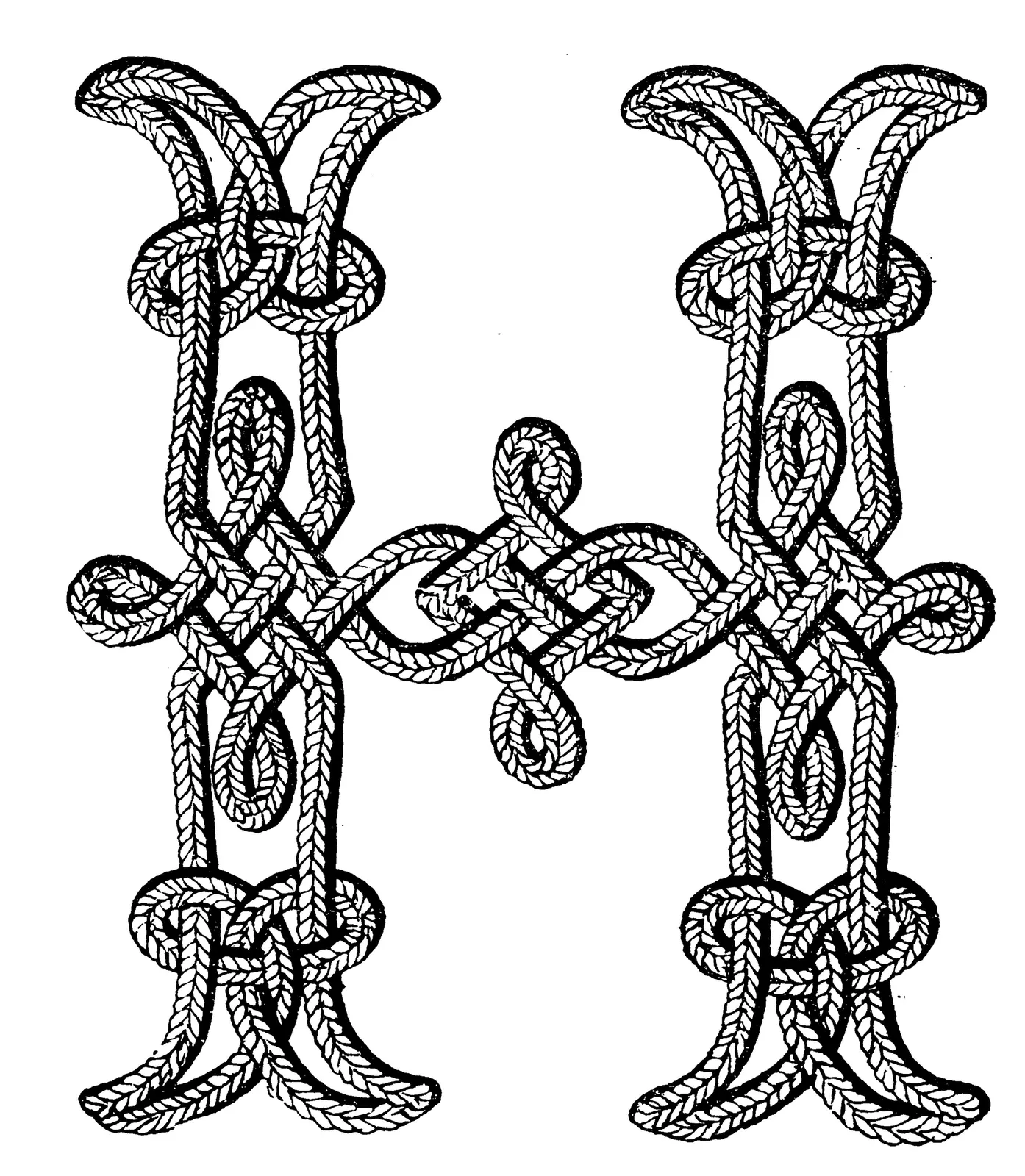 Illustrations Cord Animal