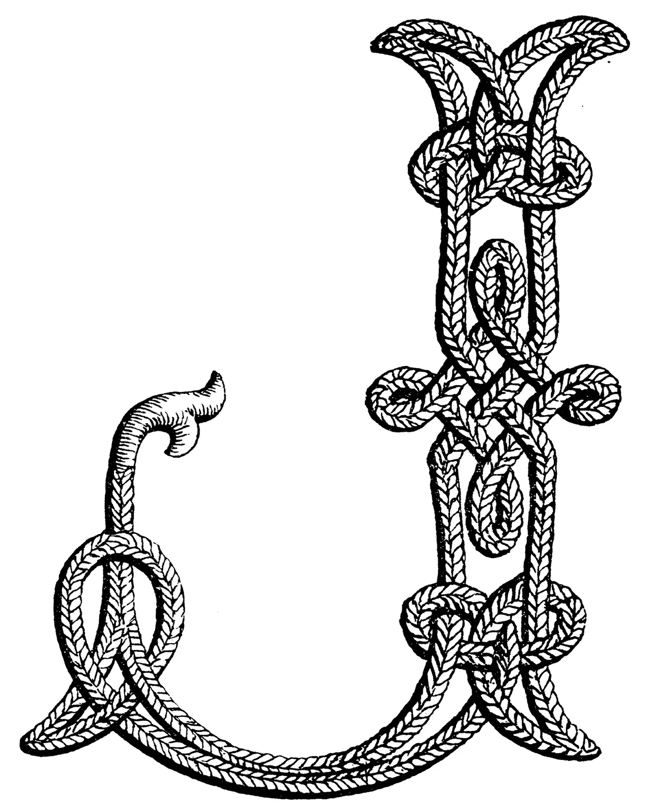 Illustrations Cord Rope Animal