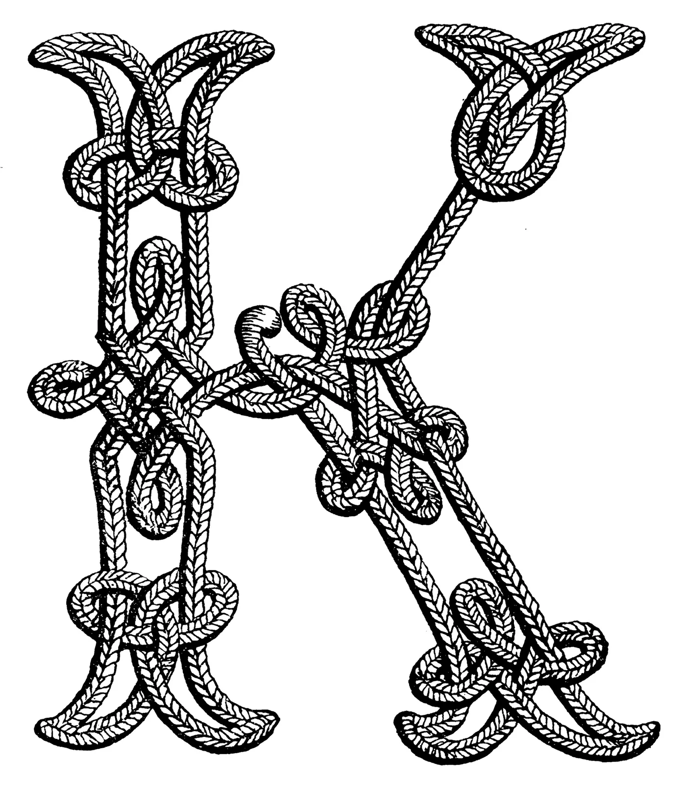 Illustrations Skeleton Cord Animal