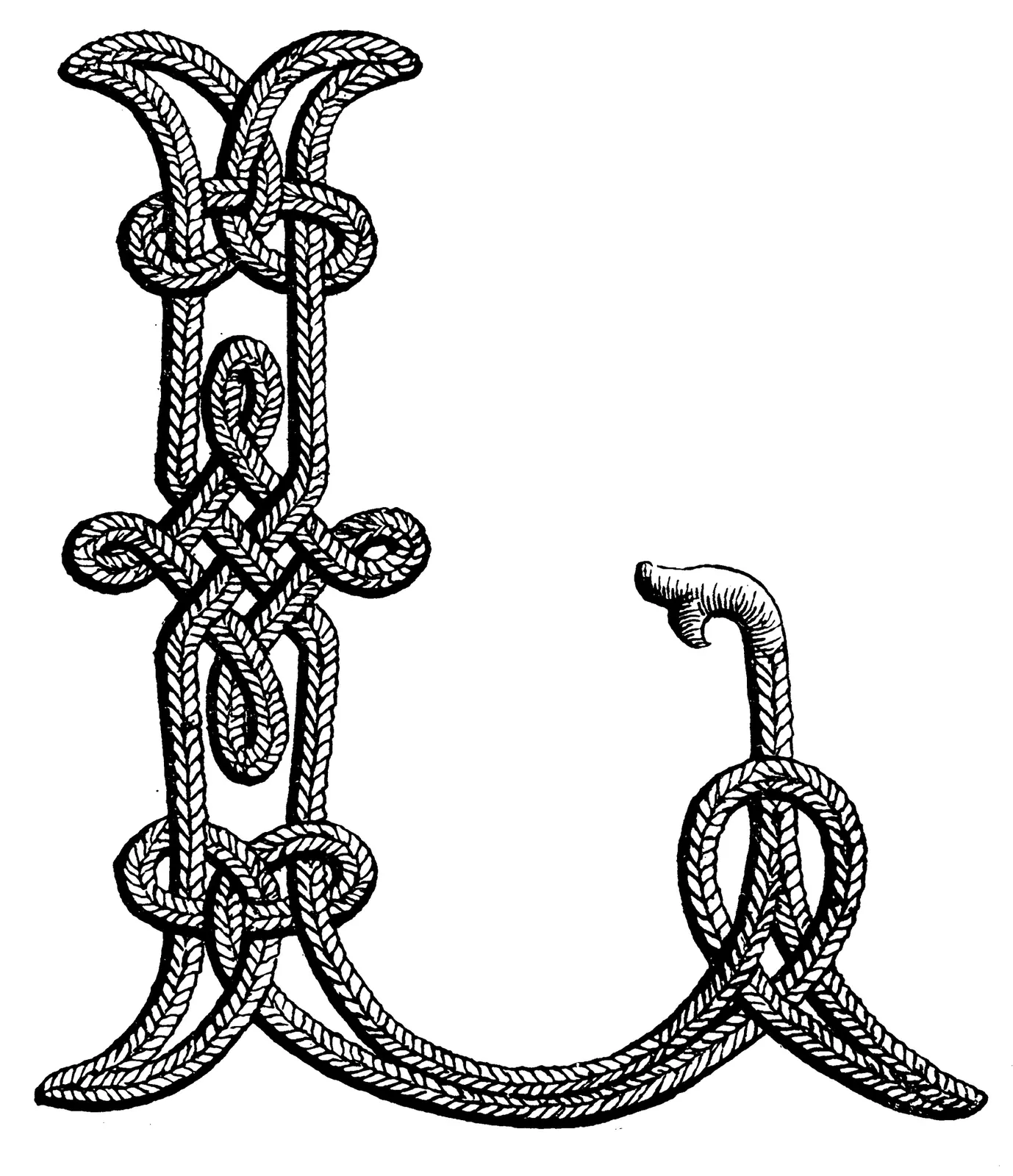 Illustrations Cord Animal