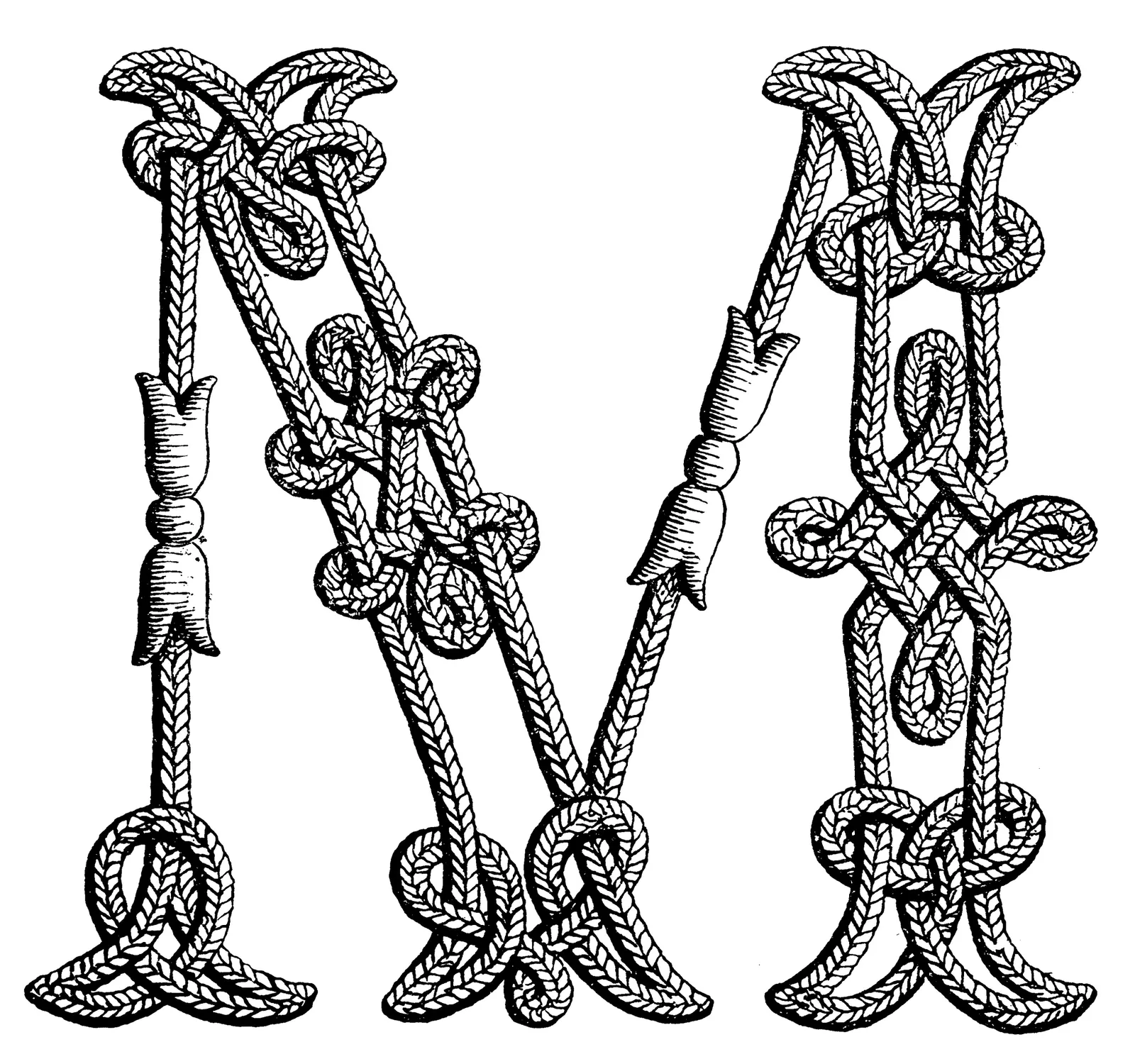 Illustrations Skeleton Cord Animal