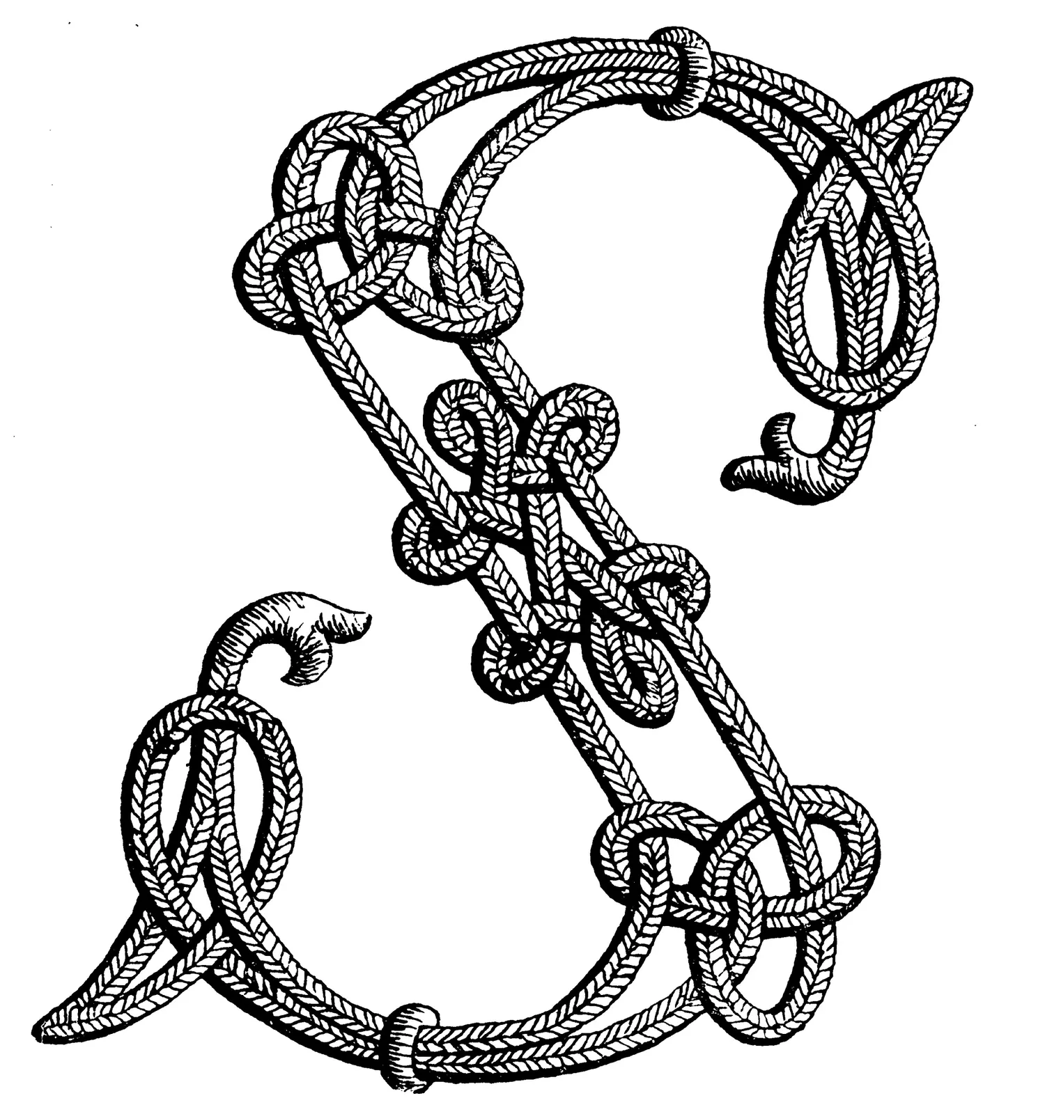 Illustrations Cord Animal