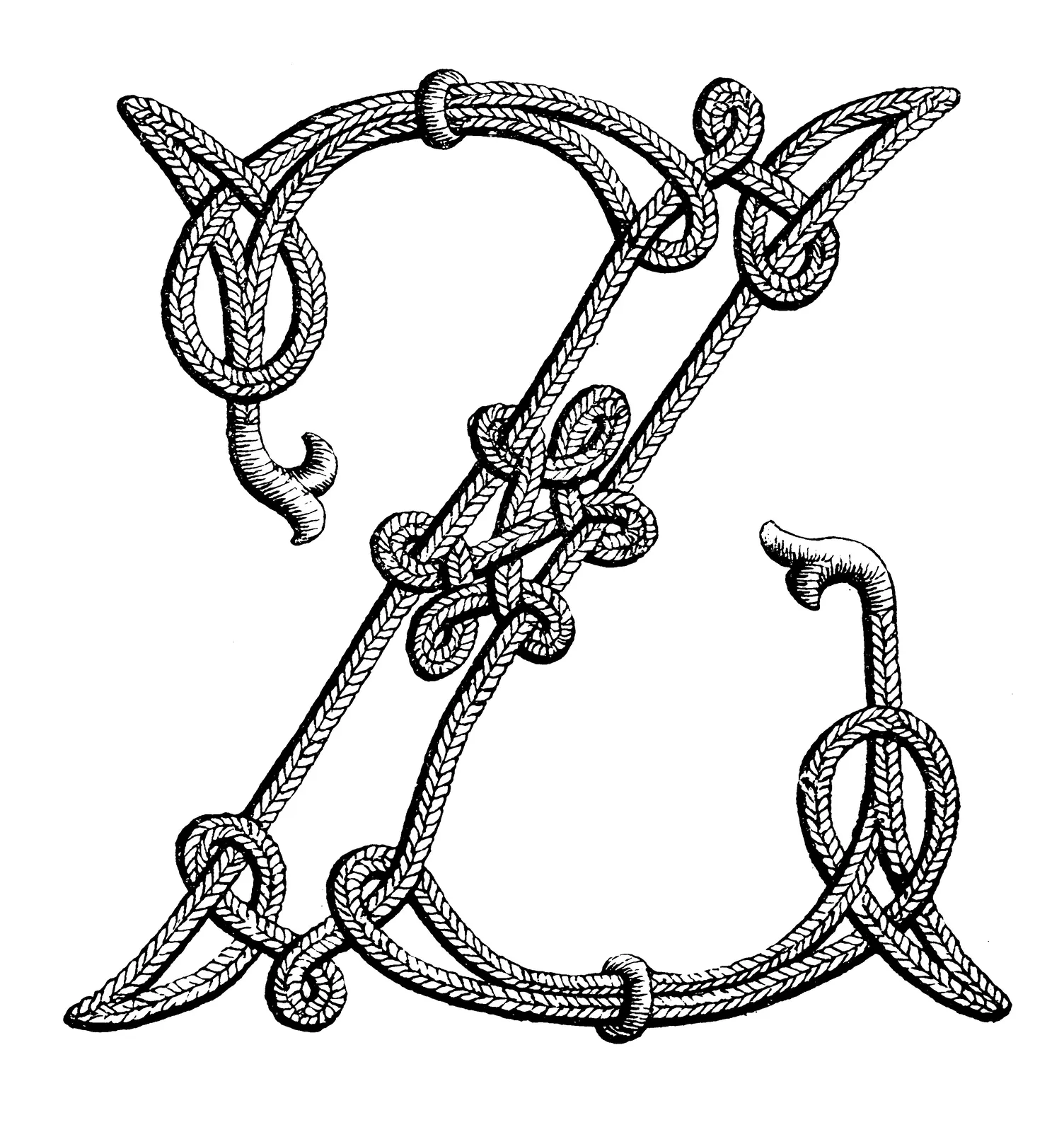 Illustrations Cord Animal