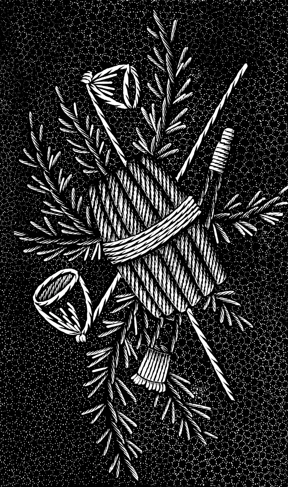 Illustrations Botanical
