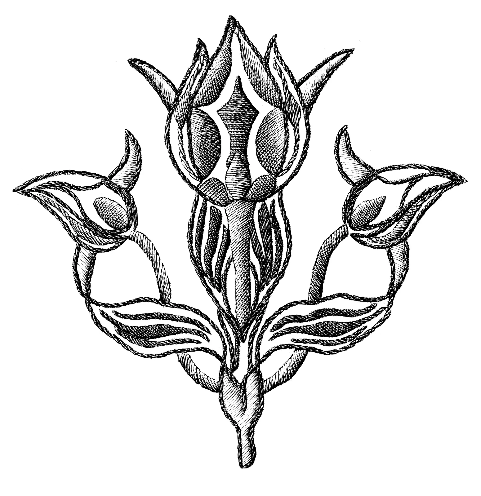 Illustrations Botanical