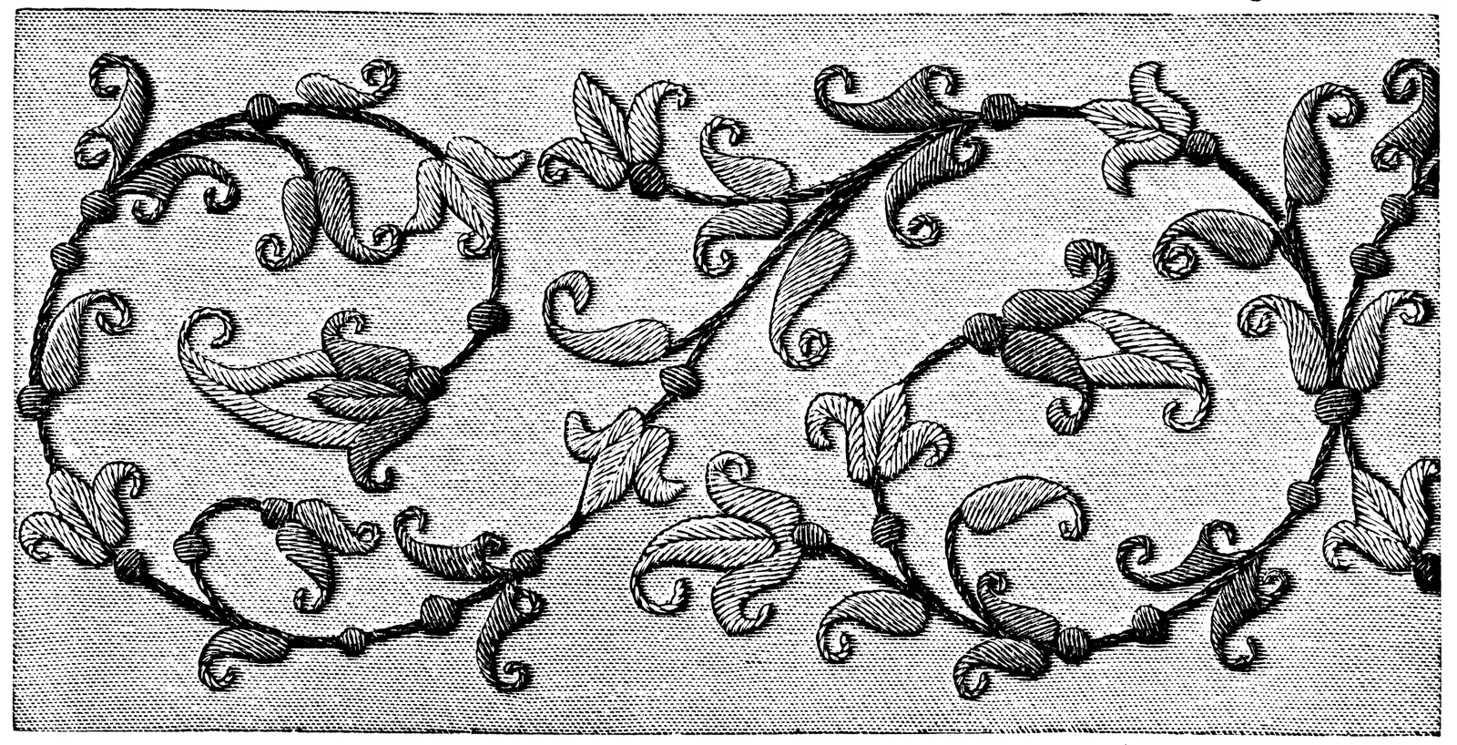 Illustrations Animal