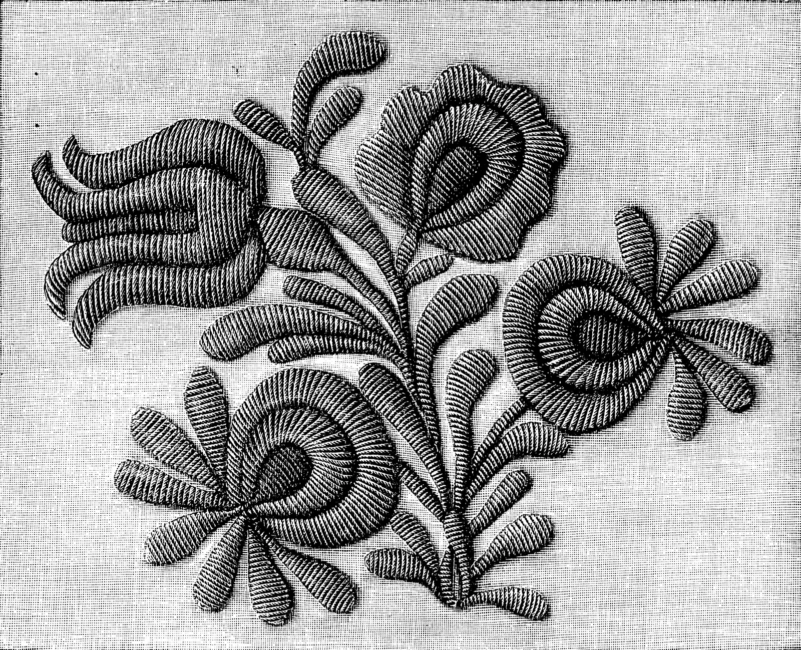 Illustrations Animal