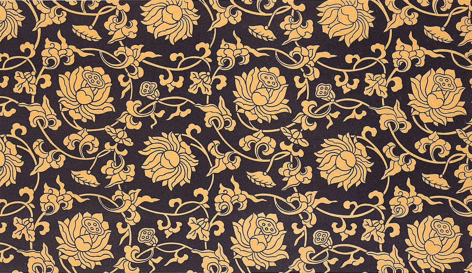 Illustrations Flower Rose Botanical