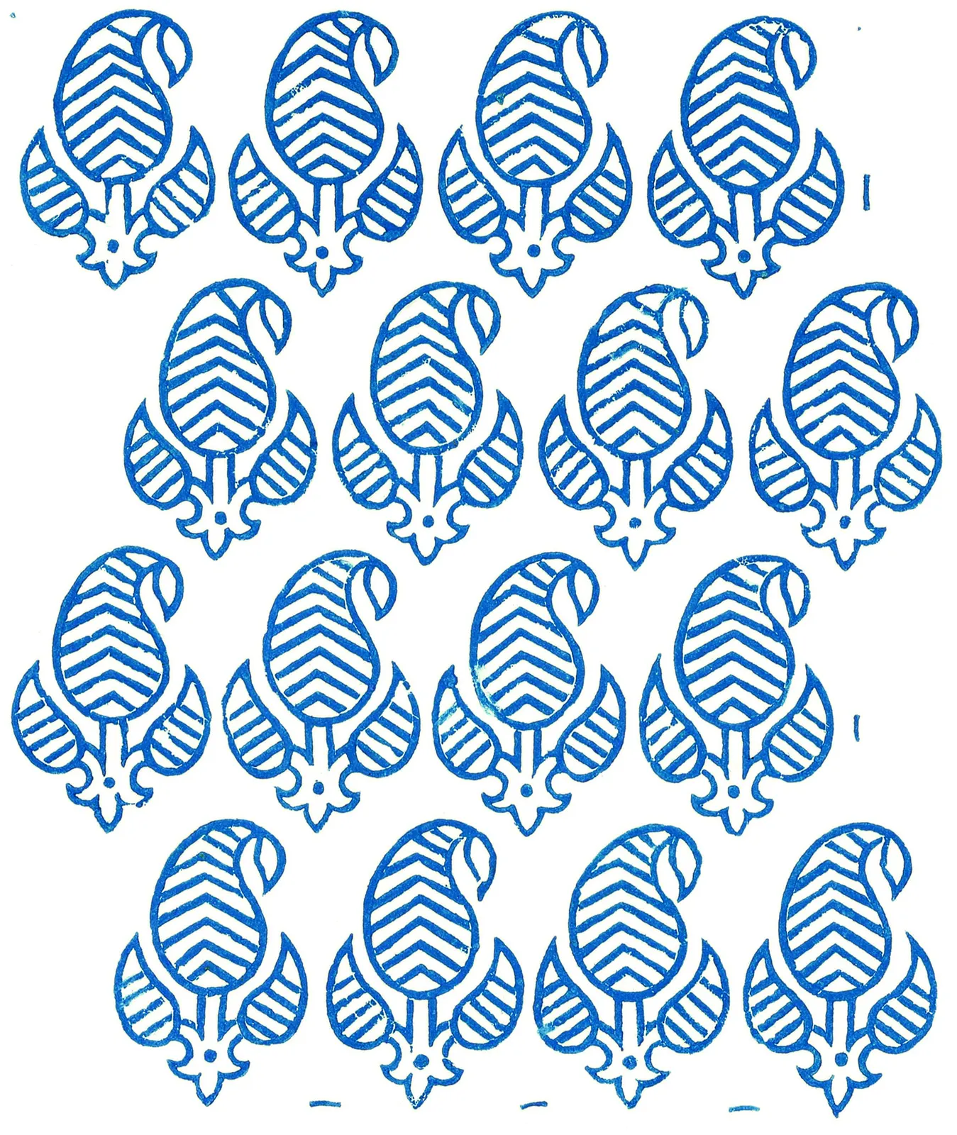 Illustrations Animal Arthropods