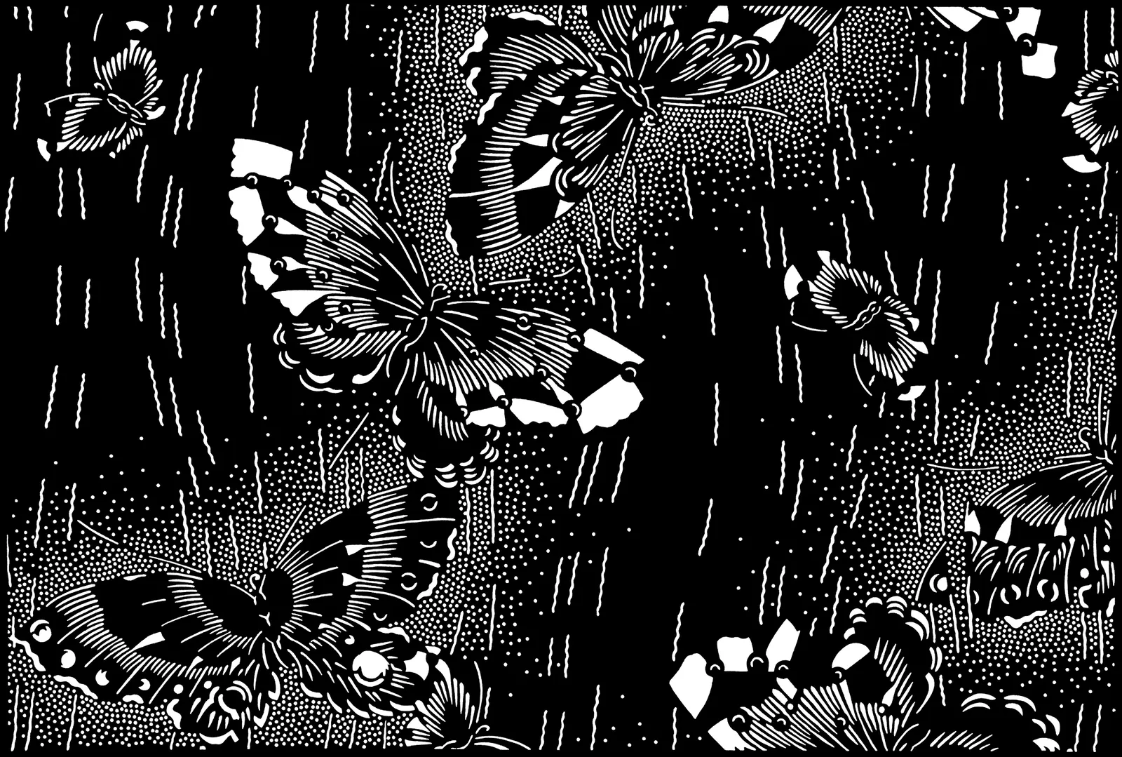 Illustrations Animal Arthropods