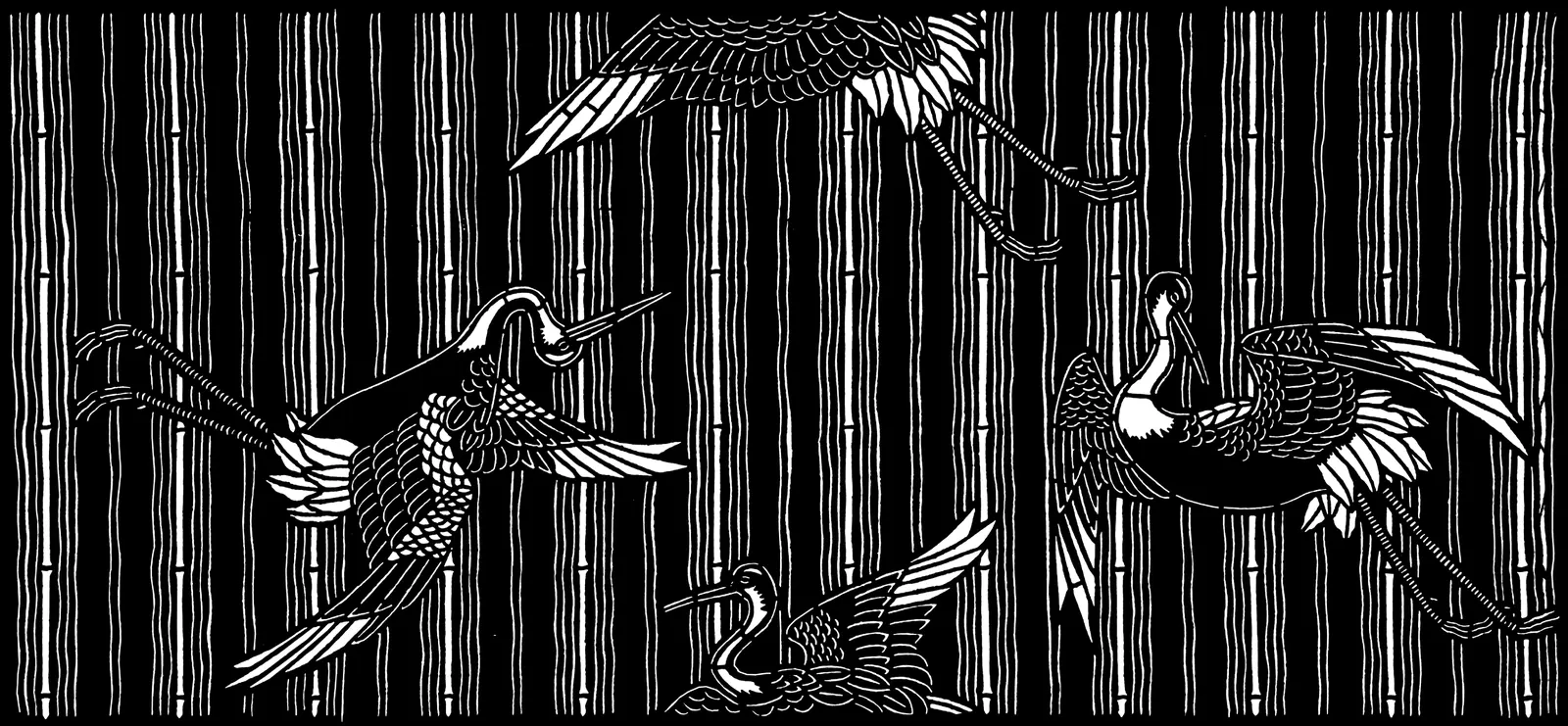 Illustrations Cord Fence Animal