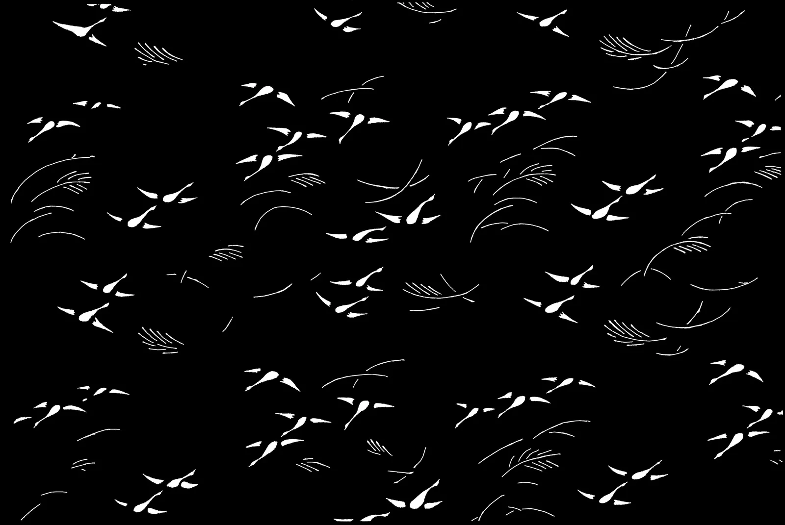 Illustrations Handwriting Chalkboard Botanical