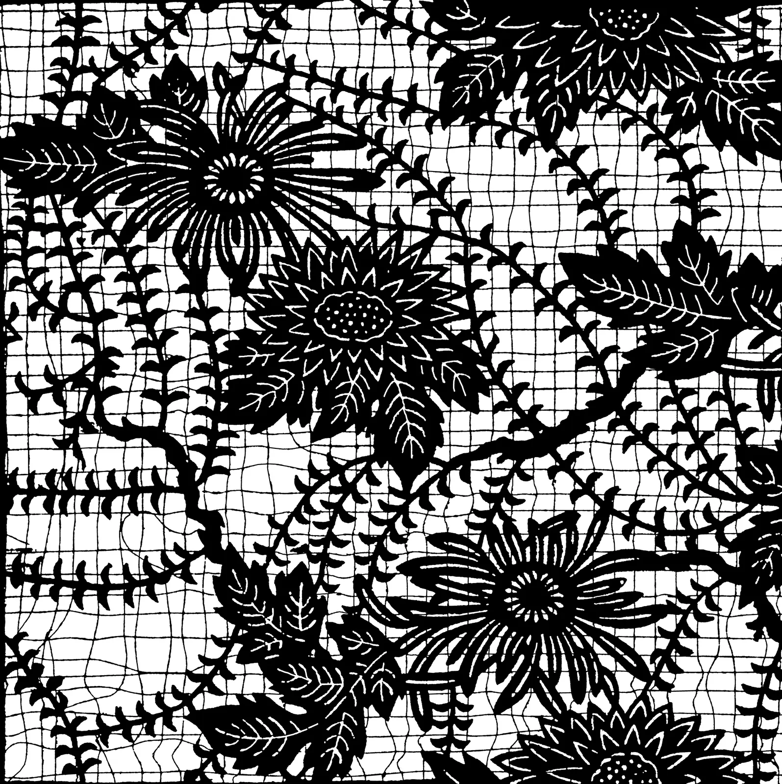 Illustrations Map Foliage Botanical