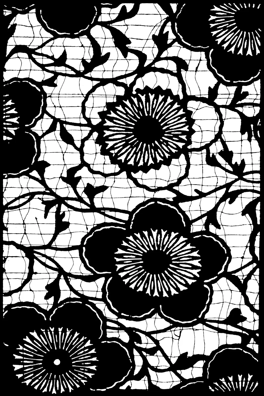 Illustrations Flower Chrysanthemum Botanical