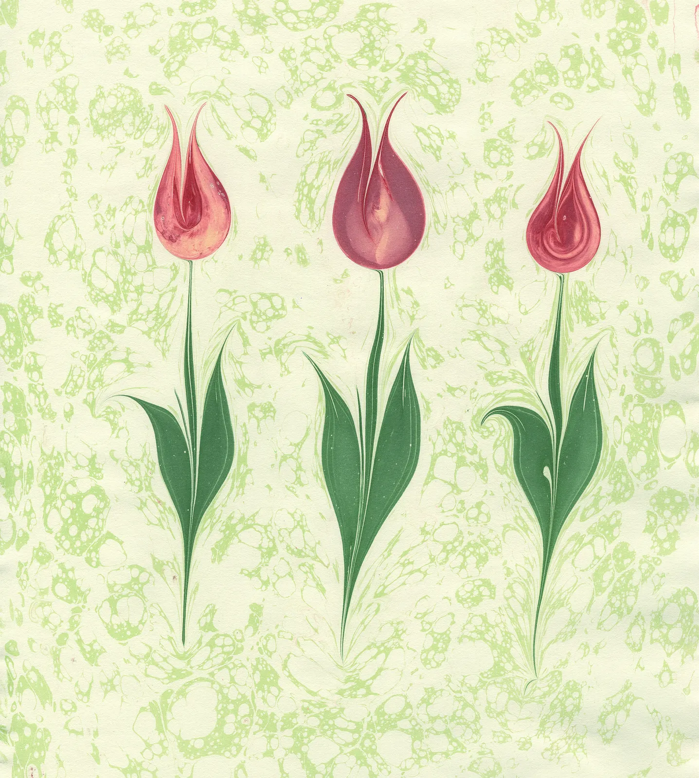 Flower Lily Animal