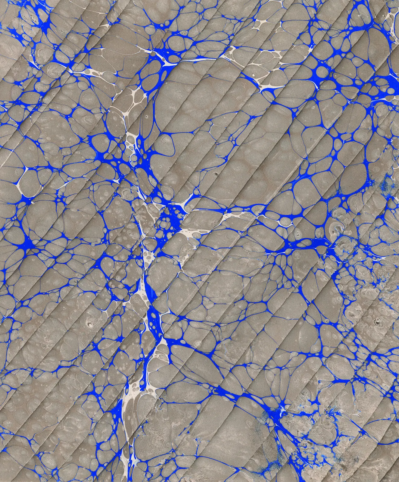Raw Glass Fence Map Botanical