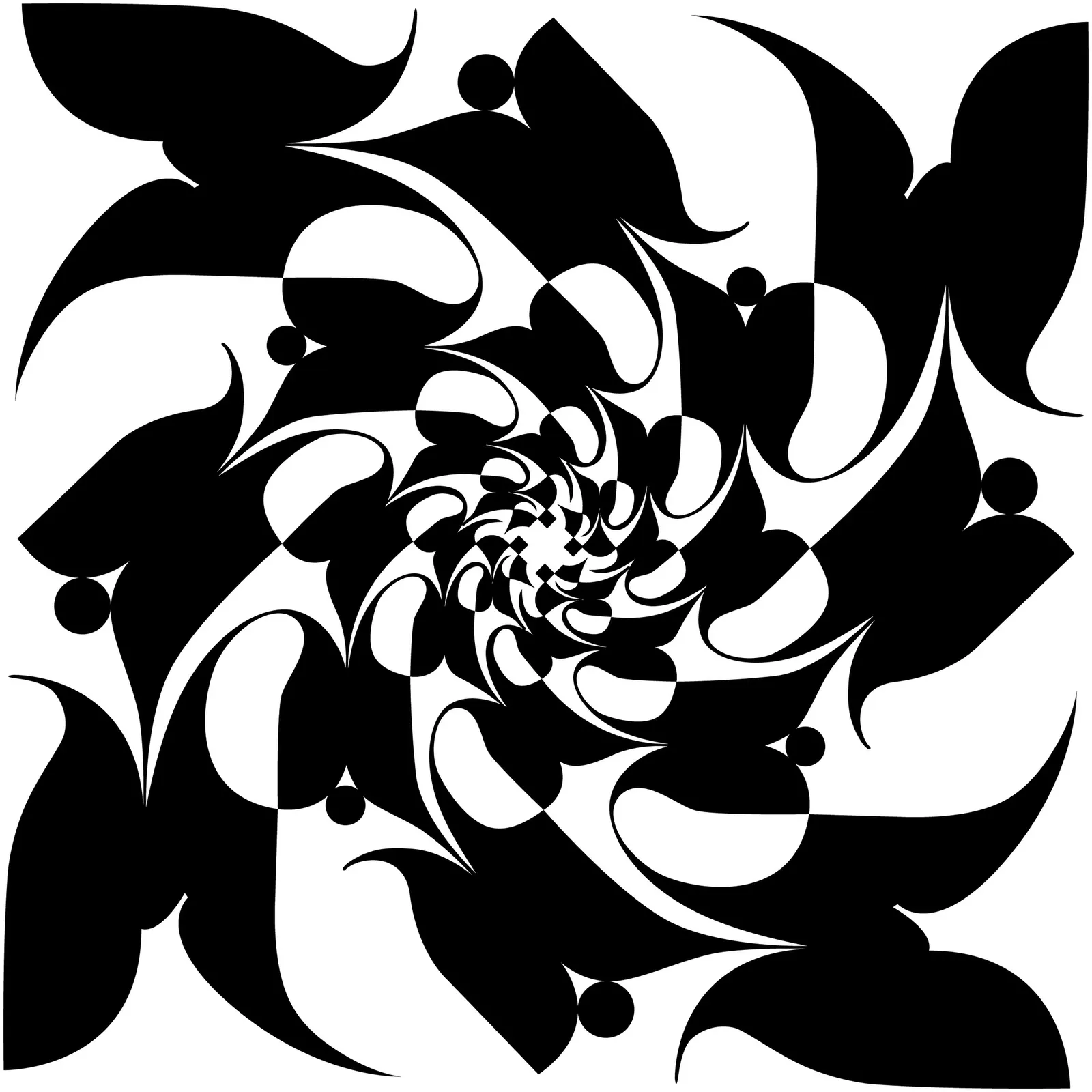 Illustrations Flower Chrysanthemum Botanical
