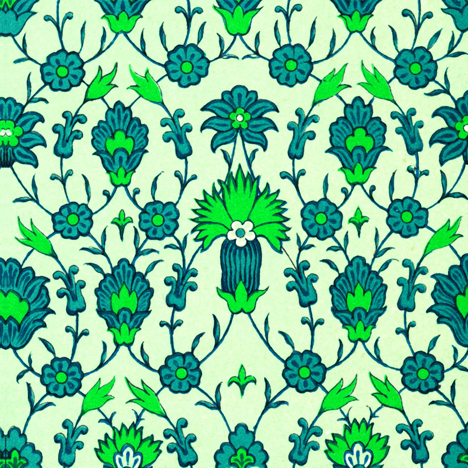 Illustrations Animal Arthropods