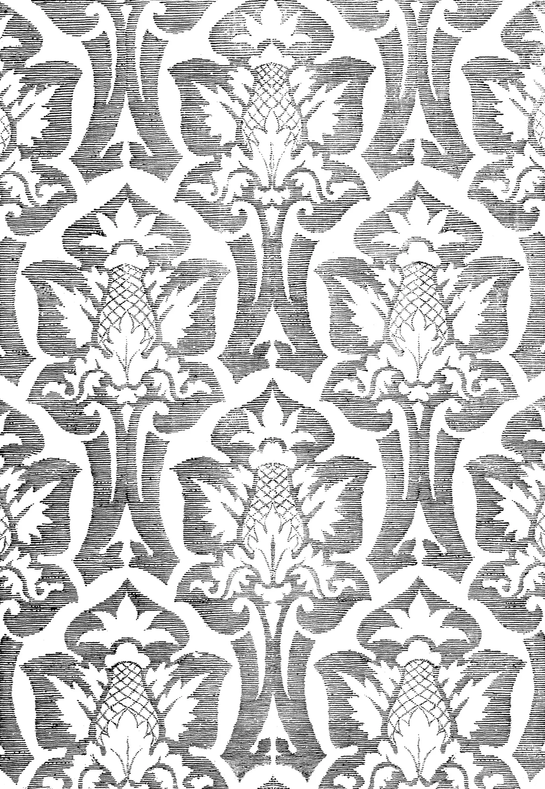 Illustrations Animal