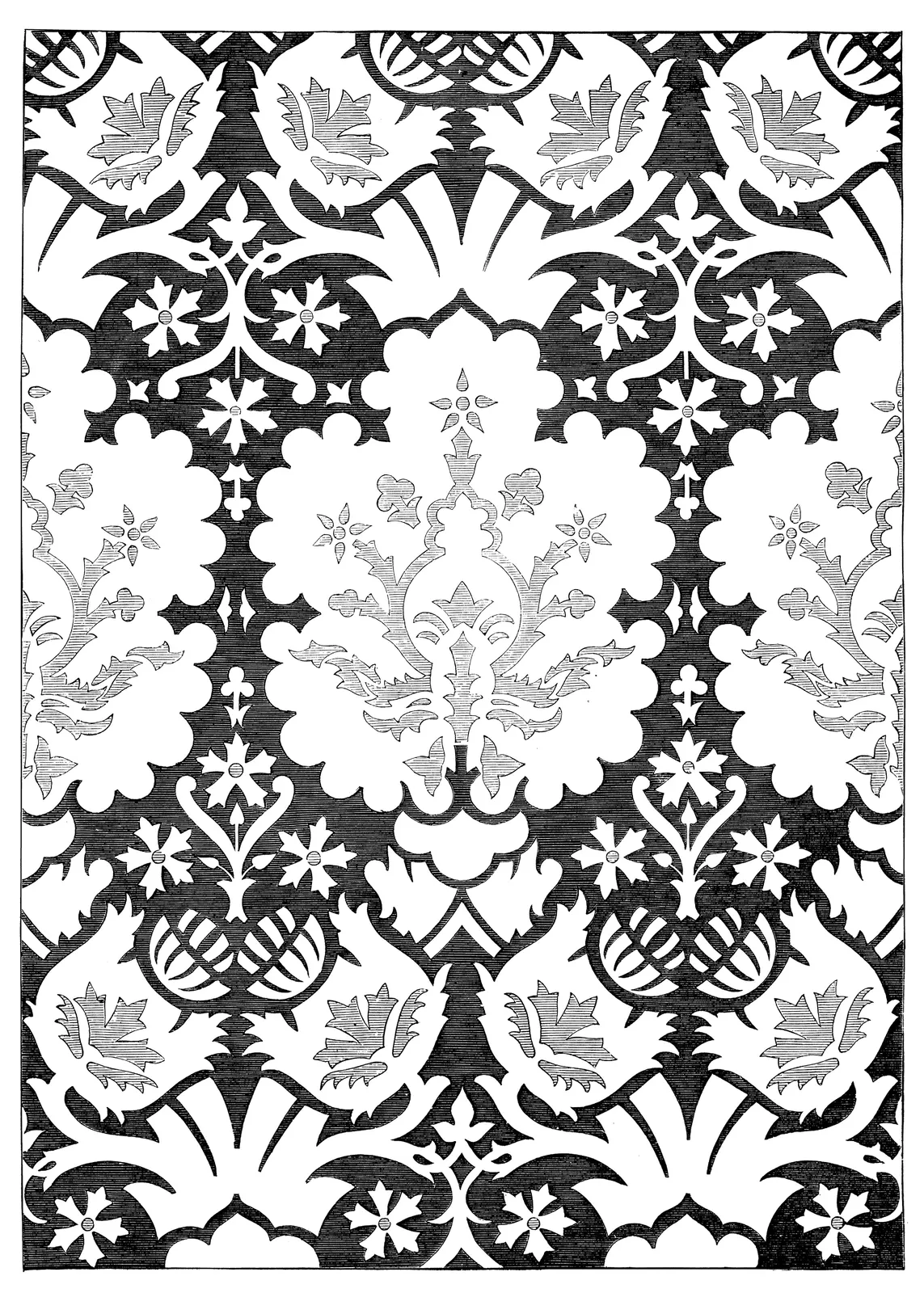 Illustrations Botanical