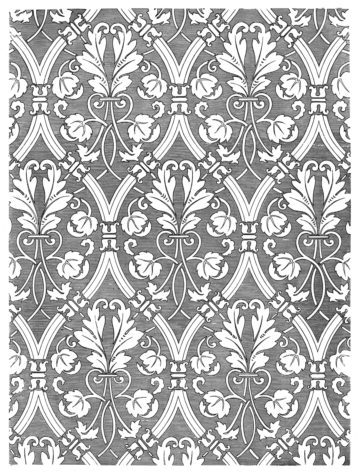 Illustrations Botanical