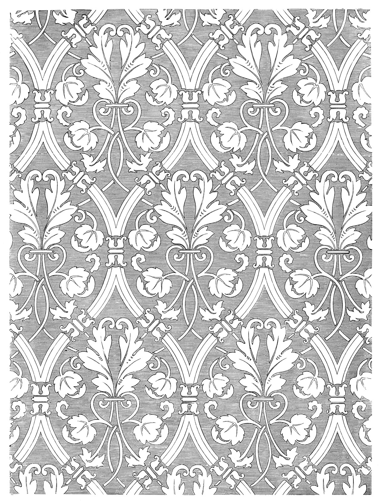 Illustrations Botanical