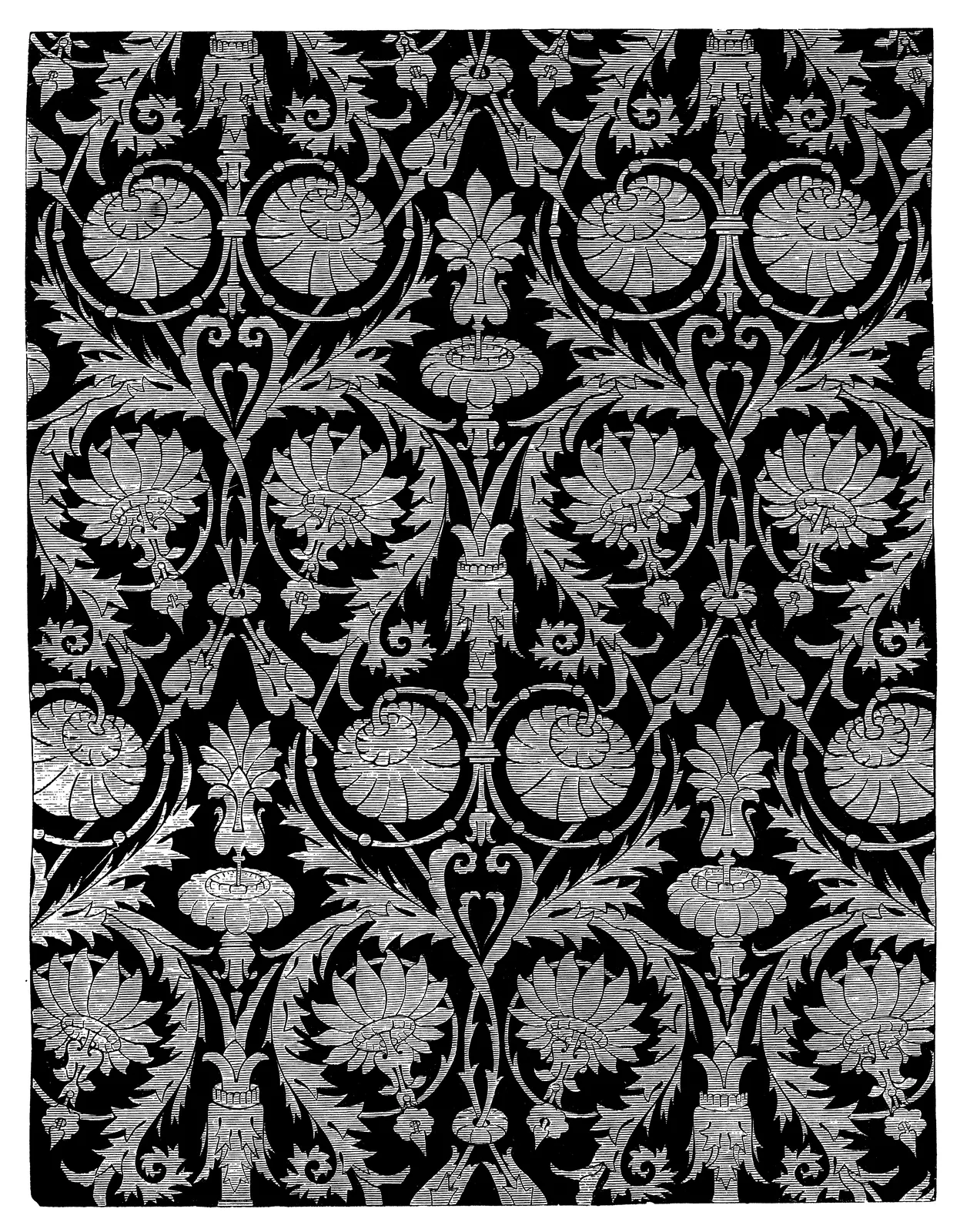 Illustrations Botanical