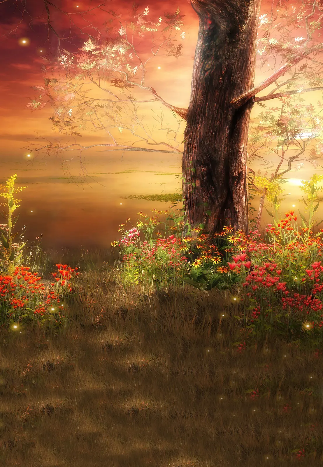 Wood Natural Sunset Sunrise Grass Botanical
