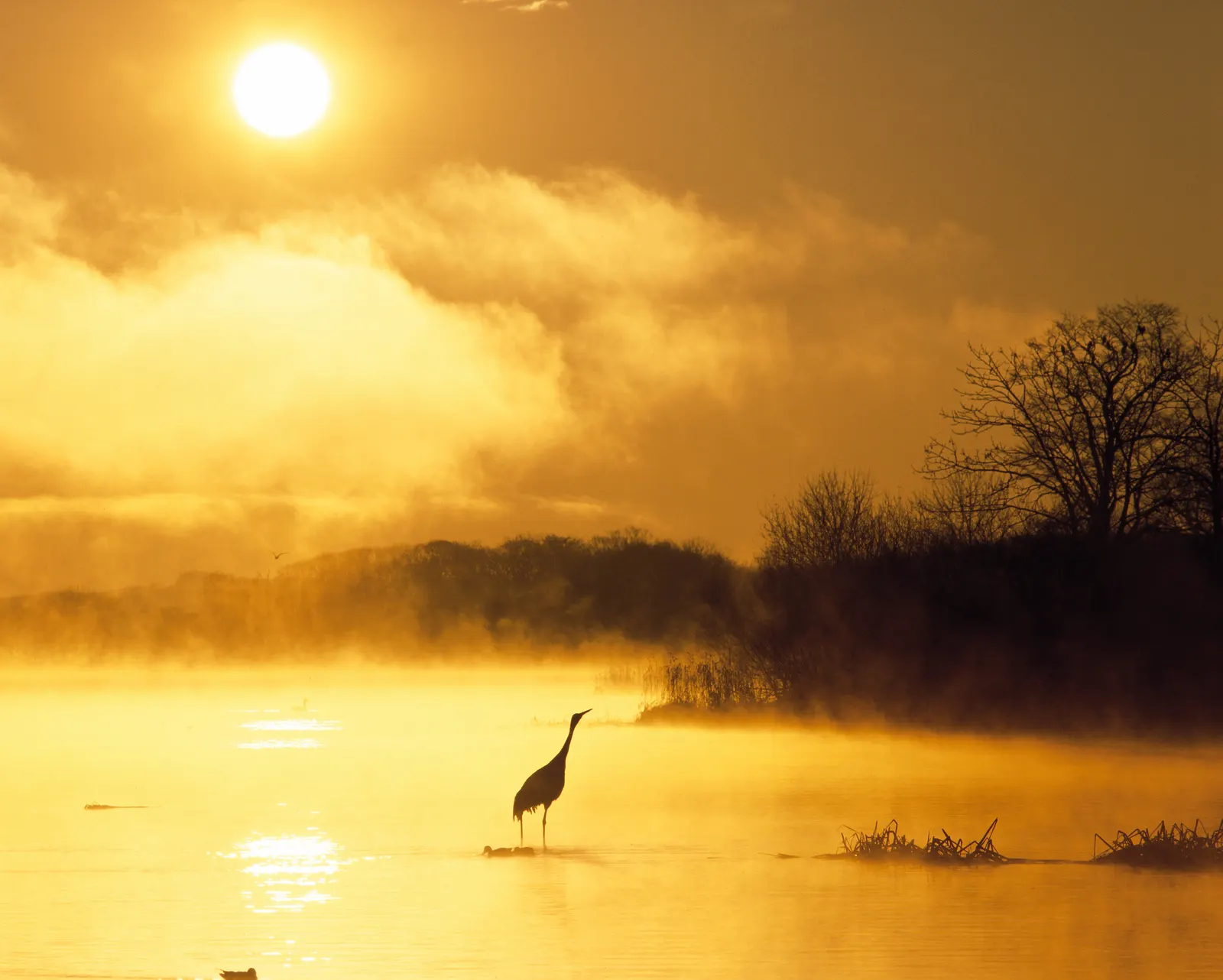 Sunset Sunrise Water Body Cloudy Landscape